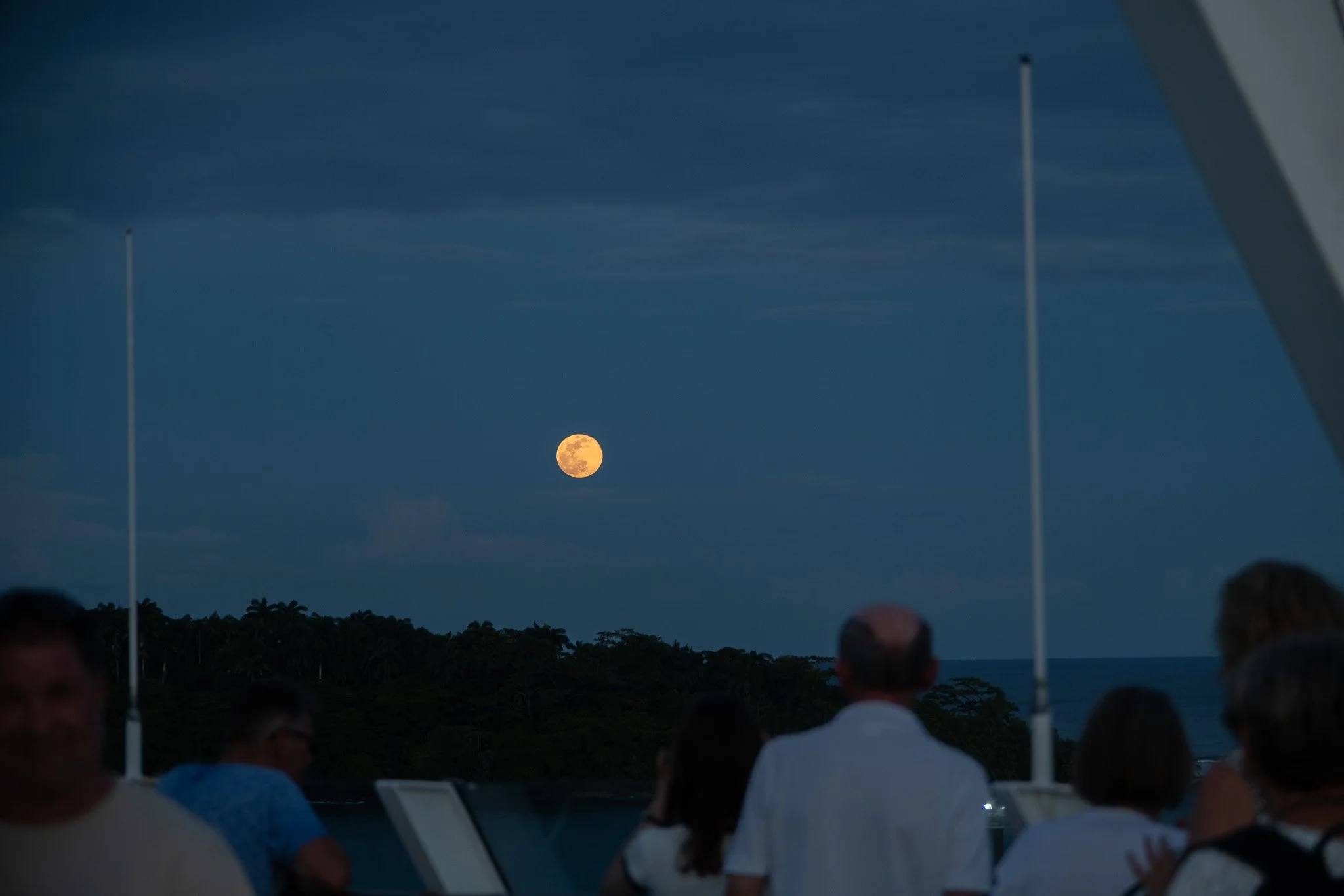 DSCF6573.jpg