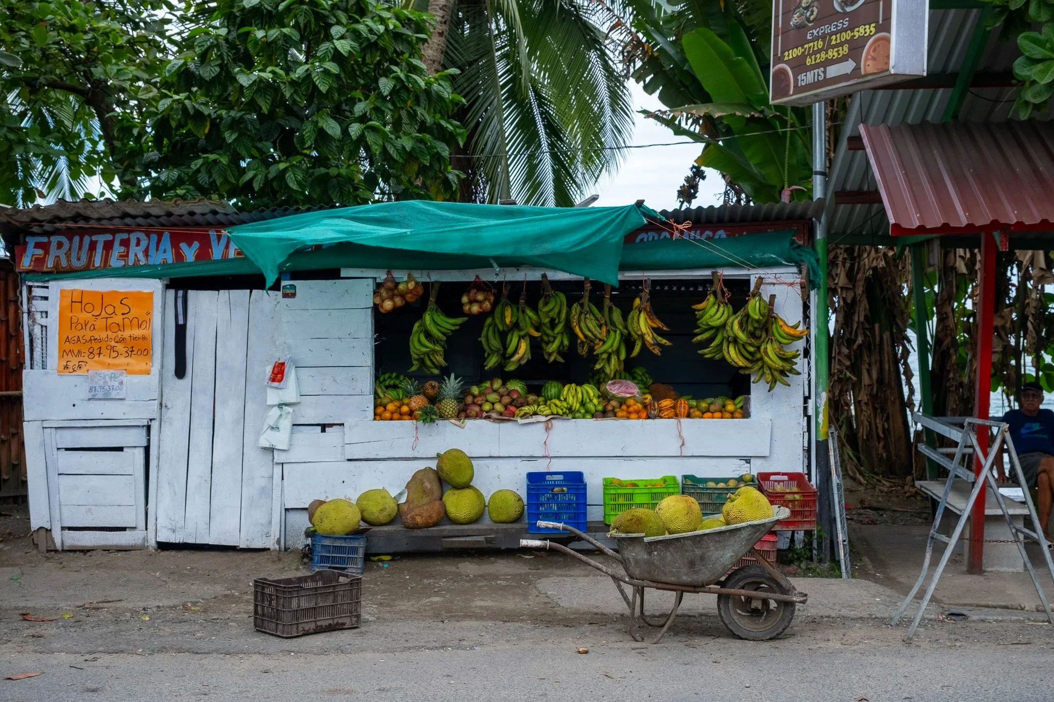 DSCF6517.jpg