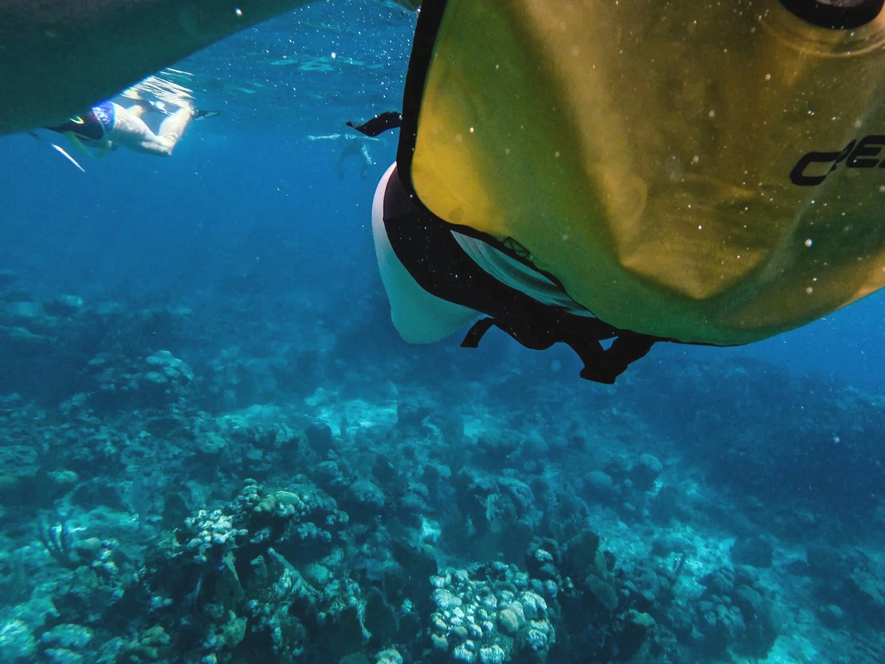 Roatán: Karibische Schönheit unter Druck