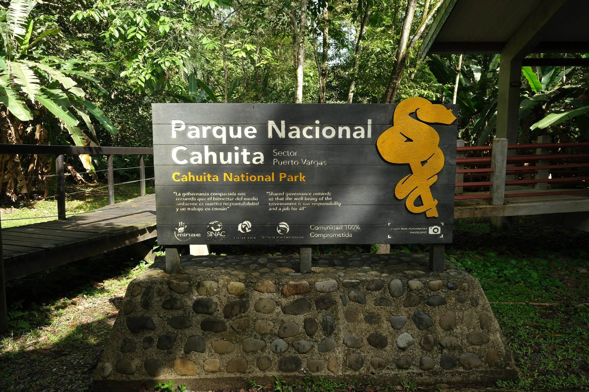 DSCF6275.jpg