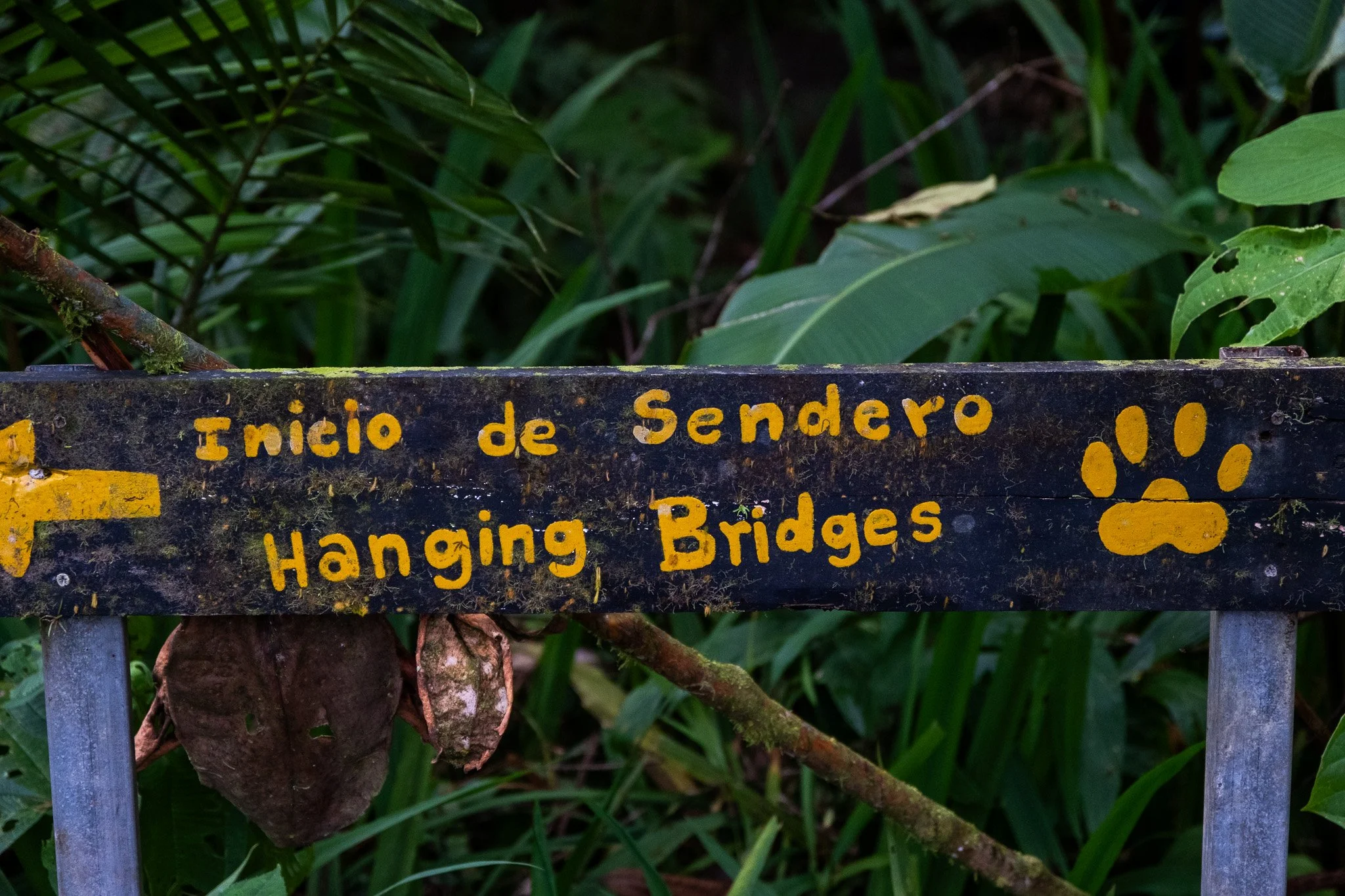 DSCF7304.jpg