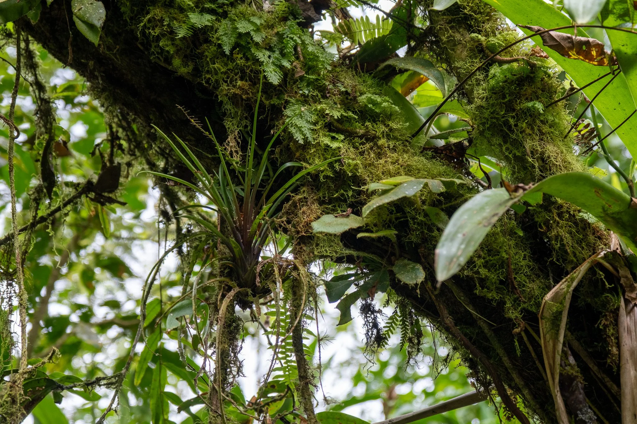 DSCF7305.jpg