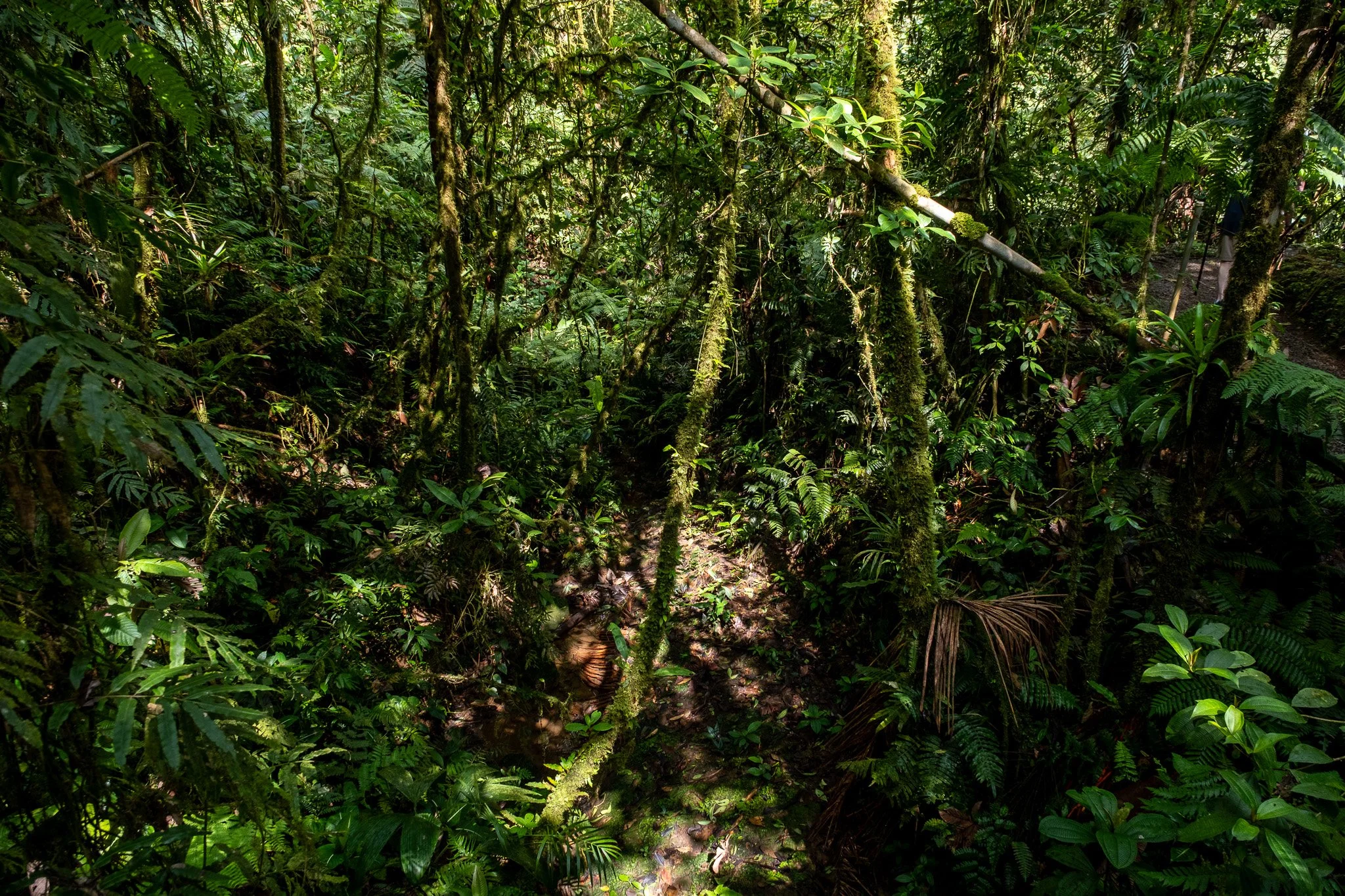 DSCF7325.jpg