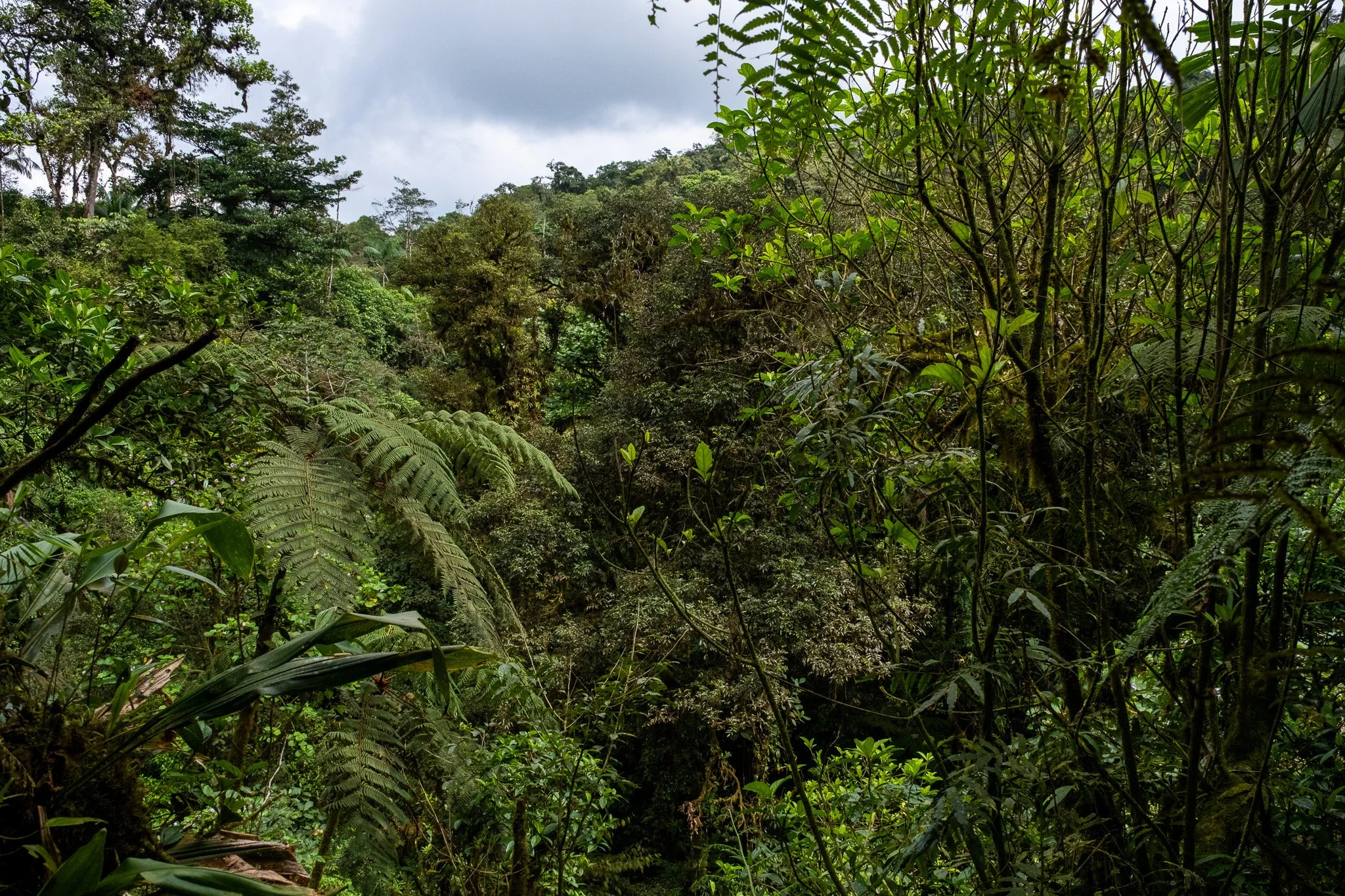 DSCF7329.jpg