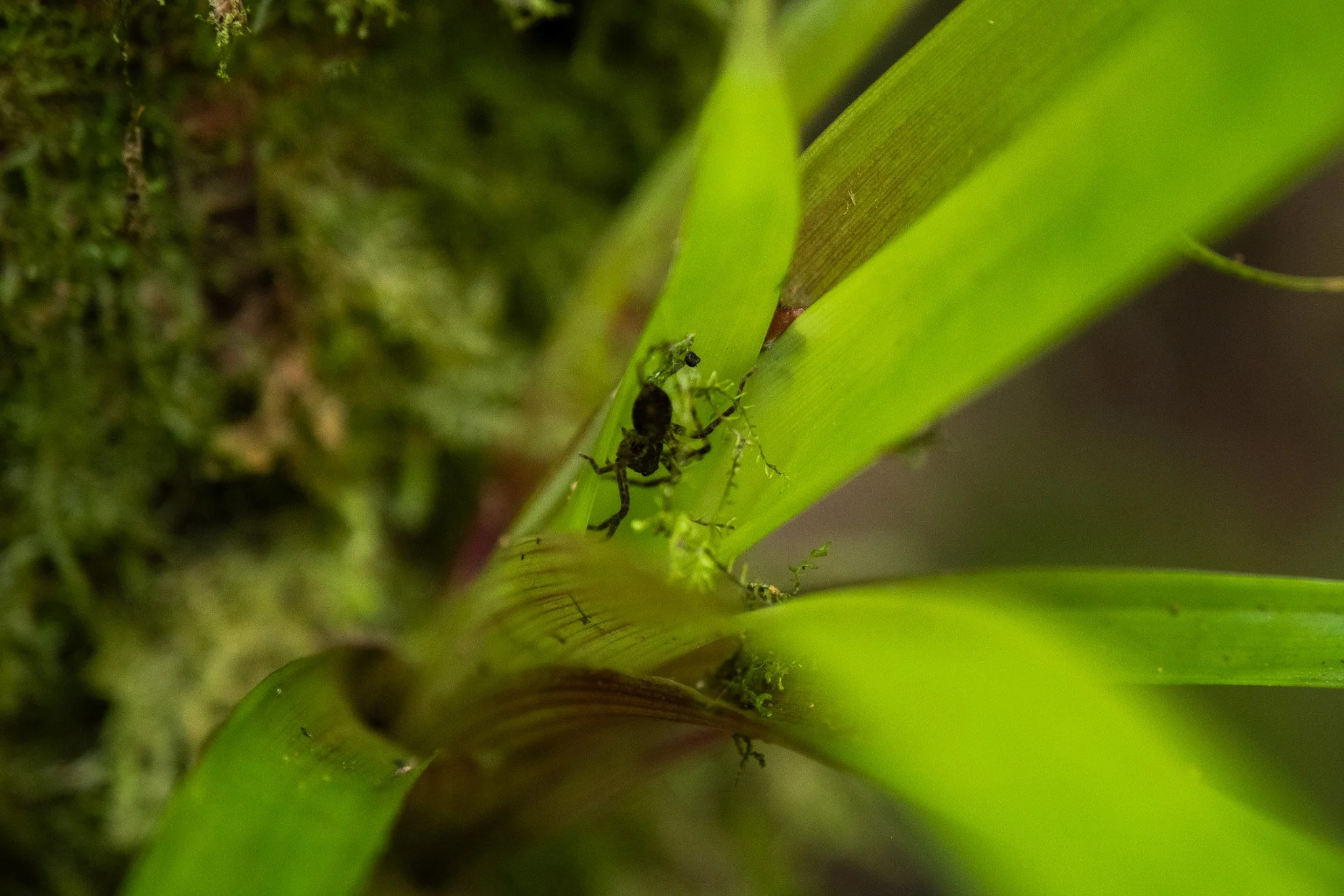 DSCF7369.jpg