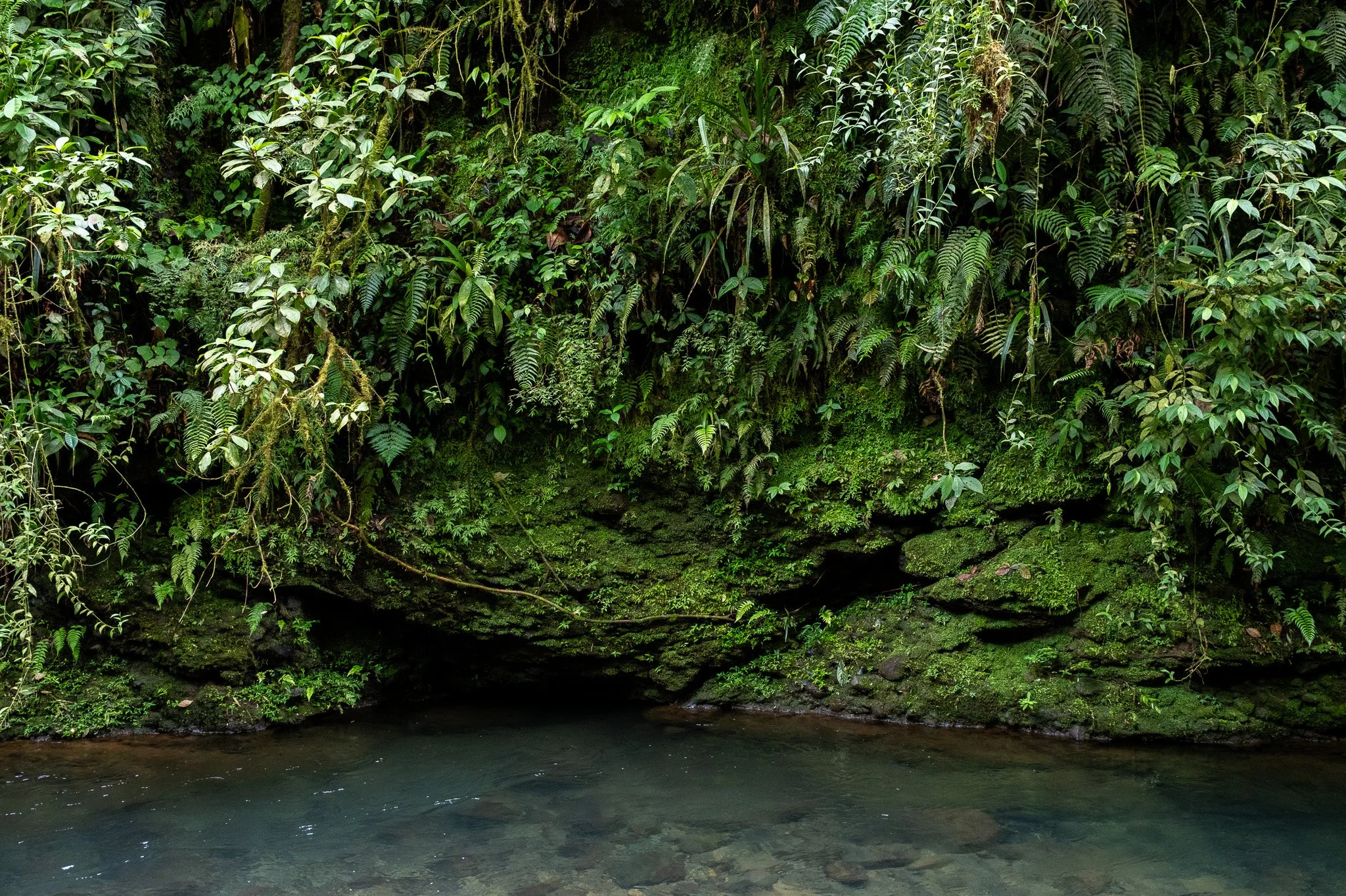 DSCF7377.jpg