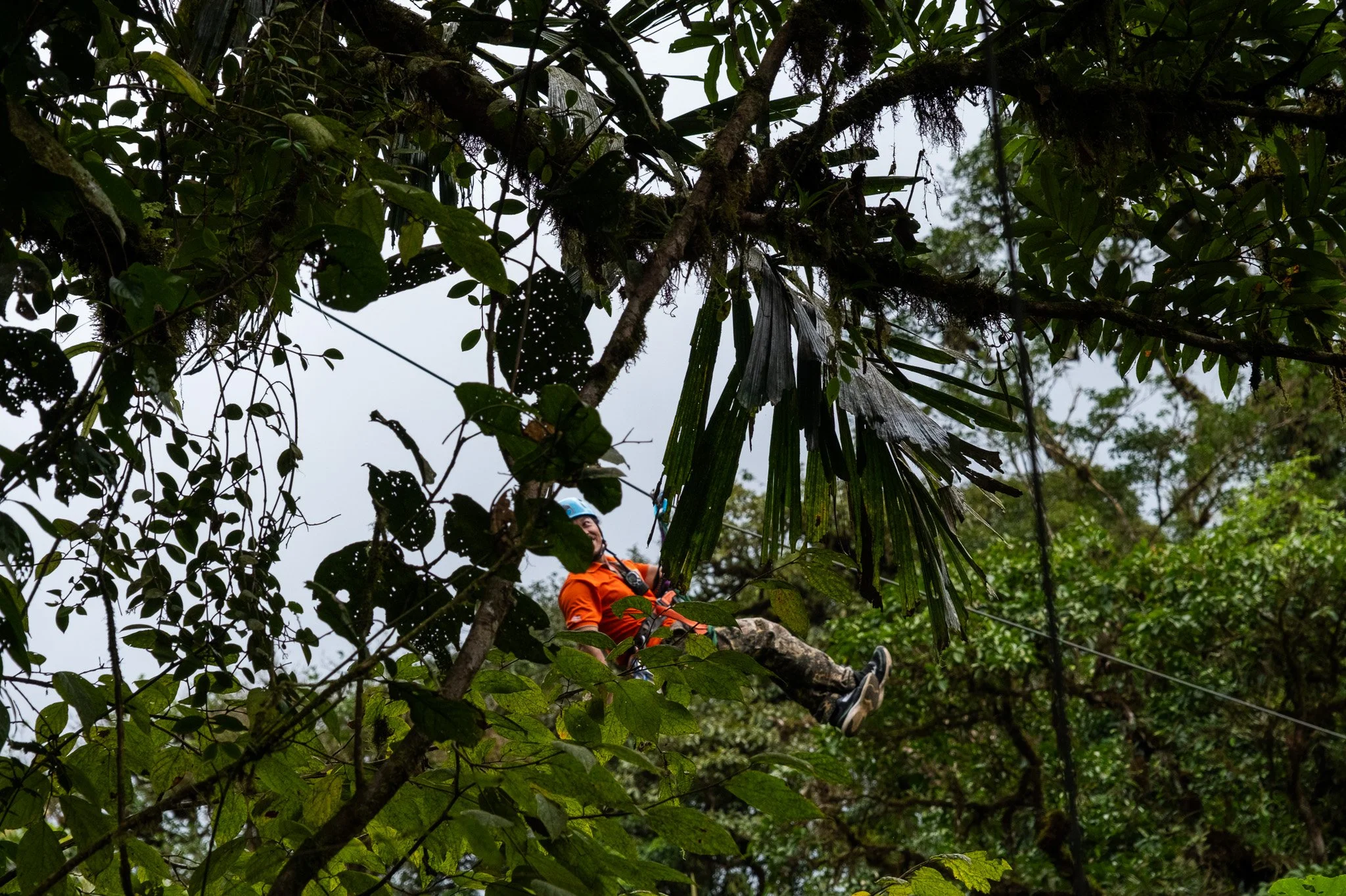 DSCF7392.jpg