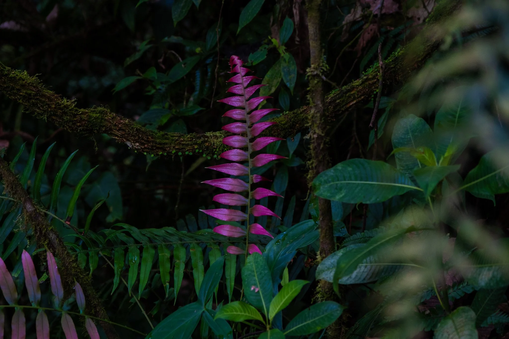 DSCF7428.jpg