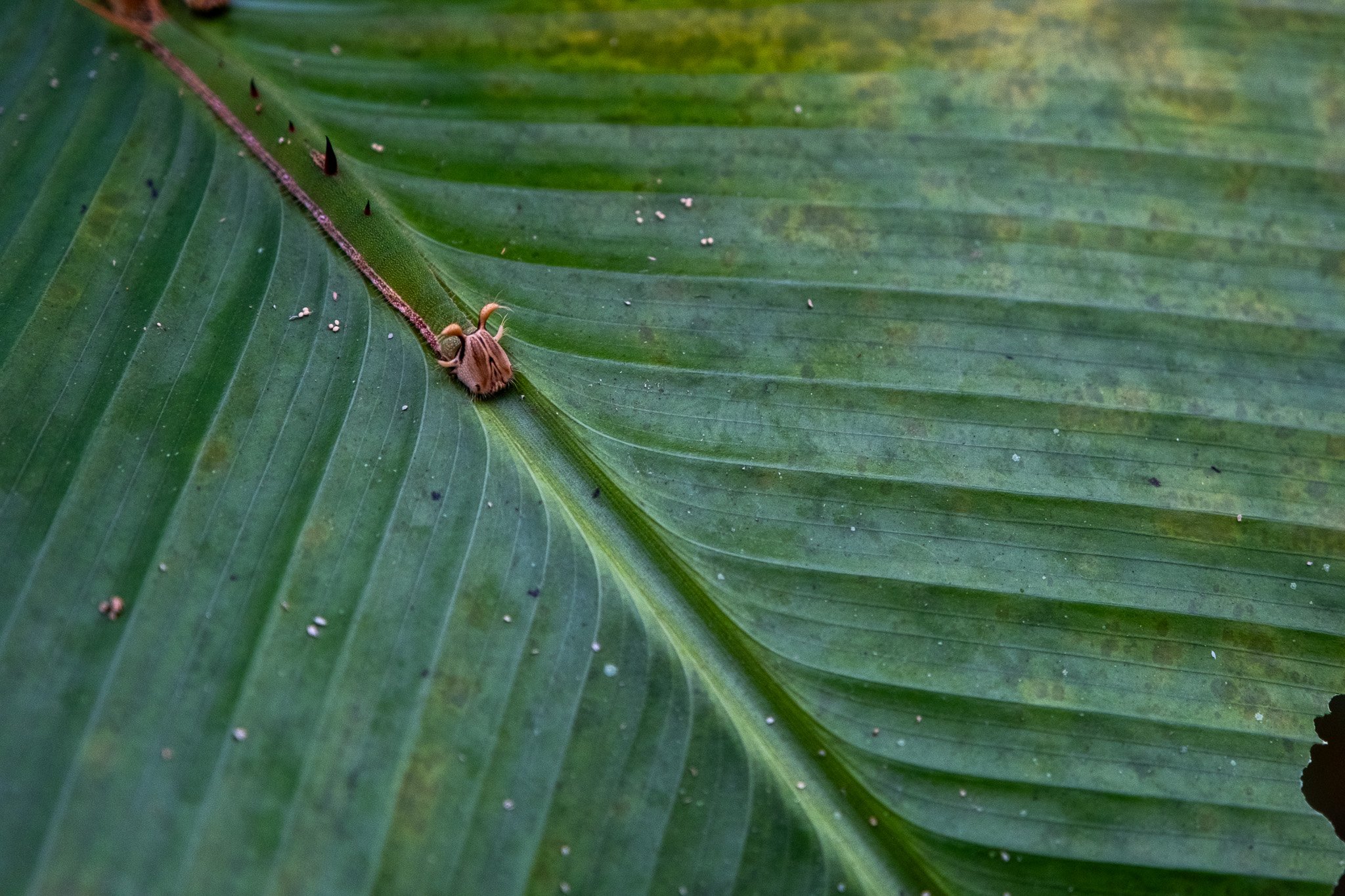 DSCF7614.jpg