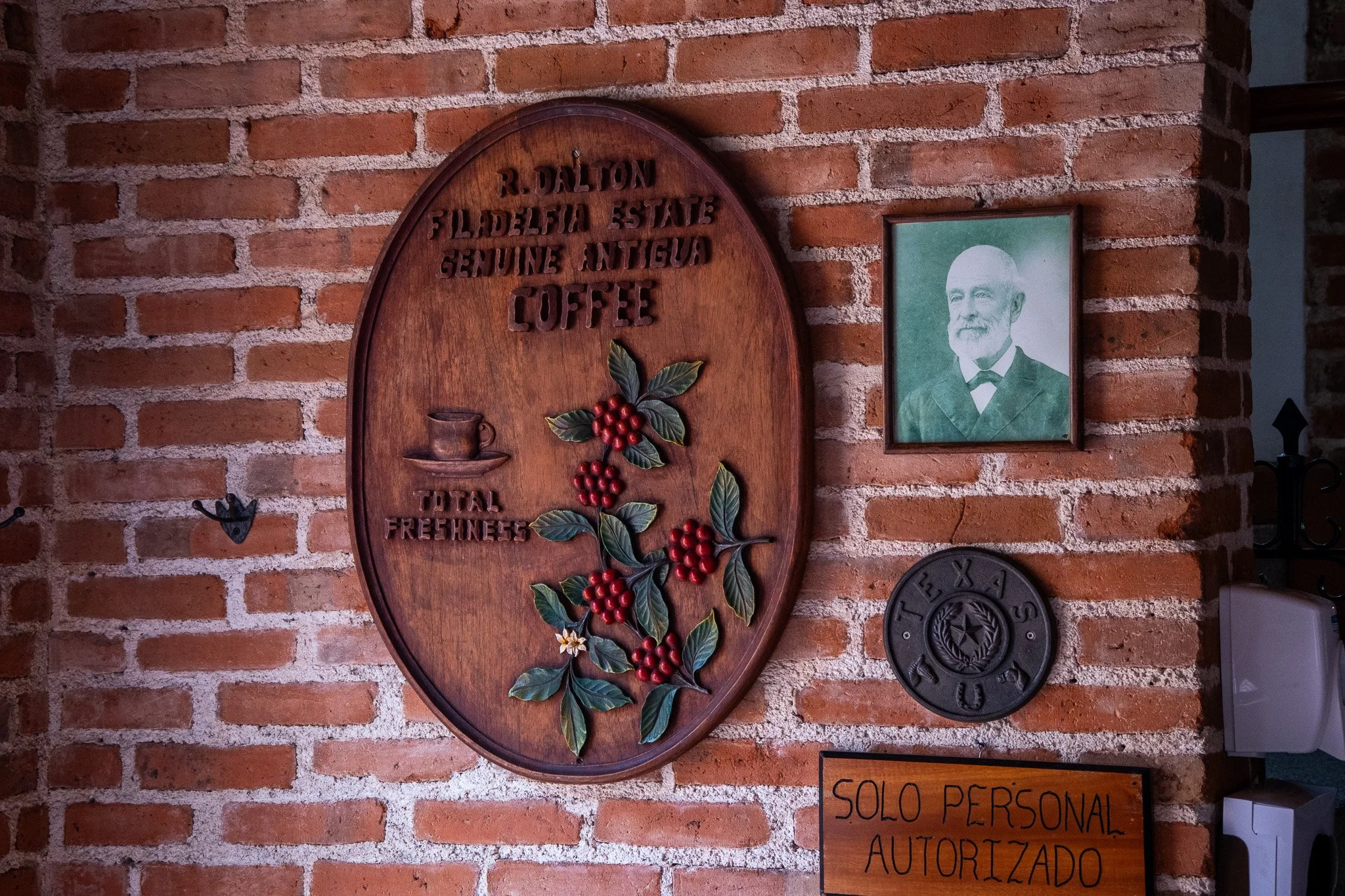 DSCF7884.jpg