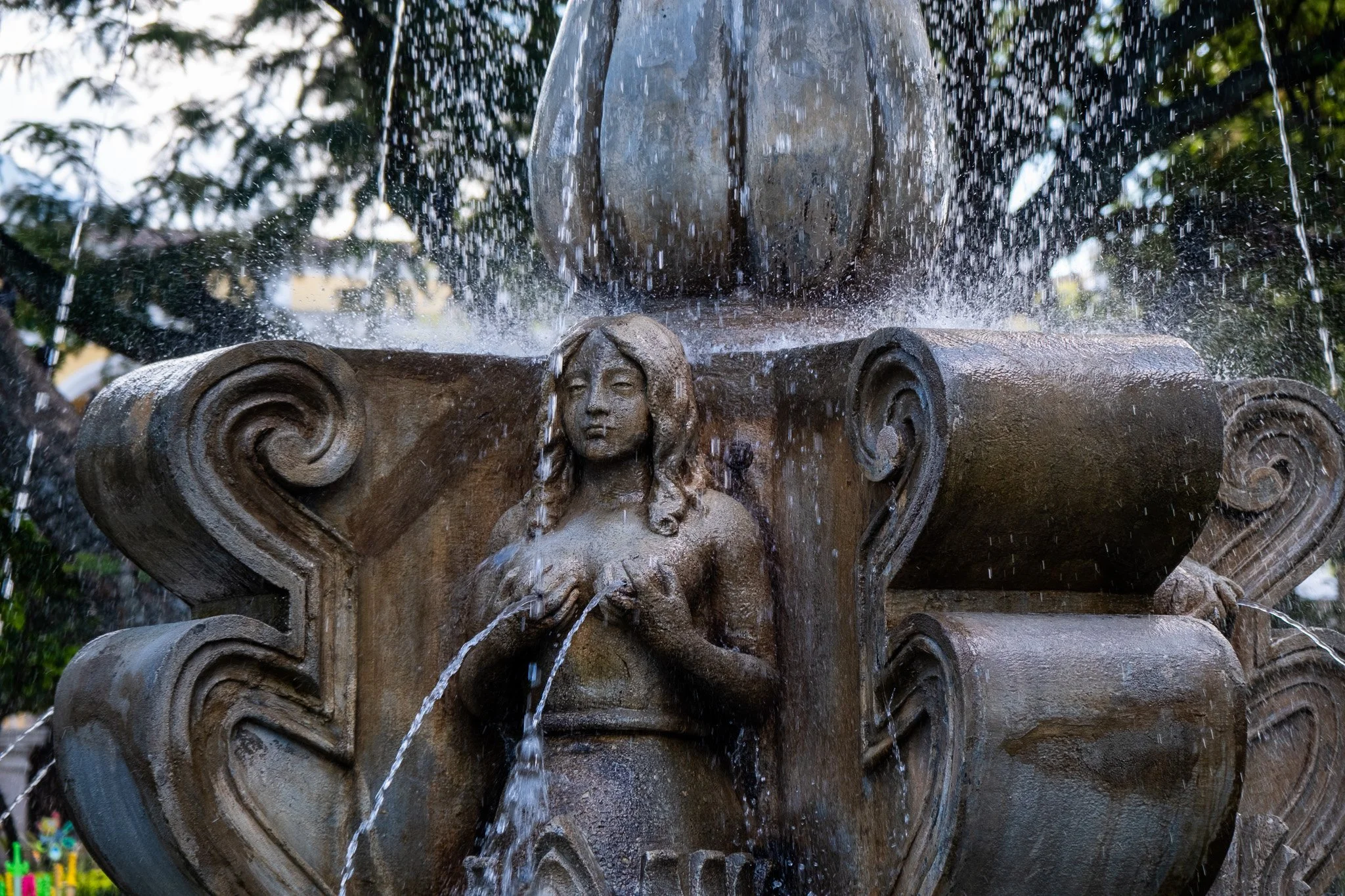 DSCF7964.jpg