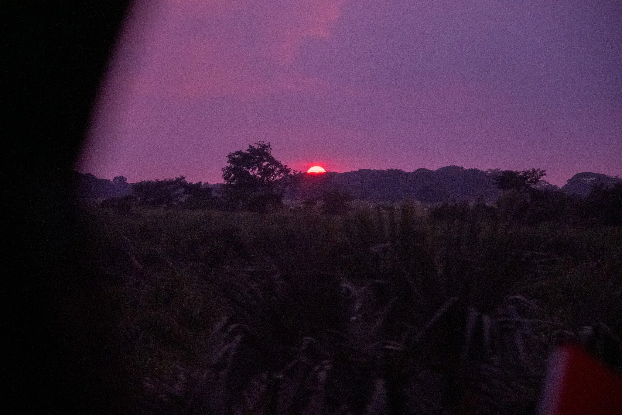 DSCF8010.jpg