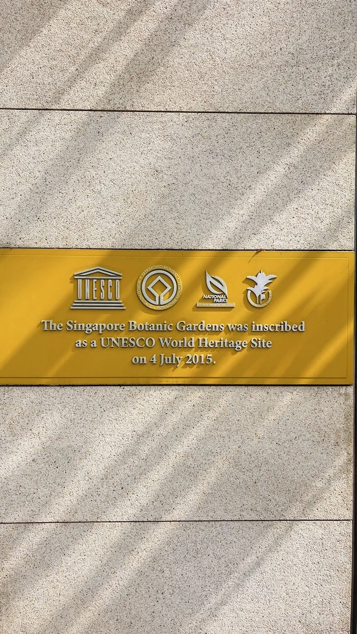 Groß (IMG_1807).jpeg