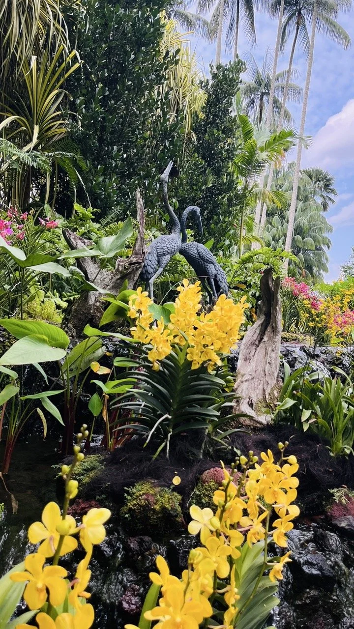 Groß (IMG_1793).jpeg