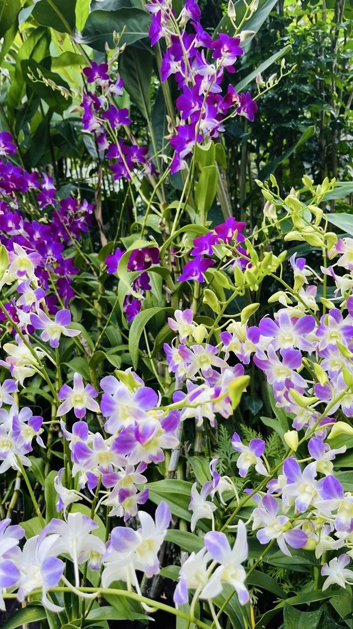 Groß (IMG_1791).jpeg