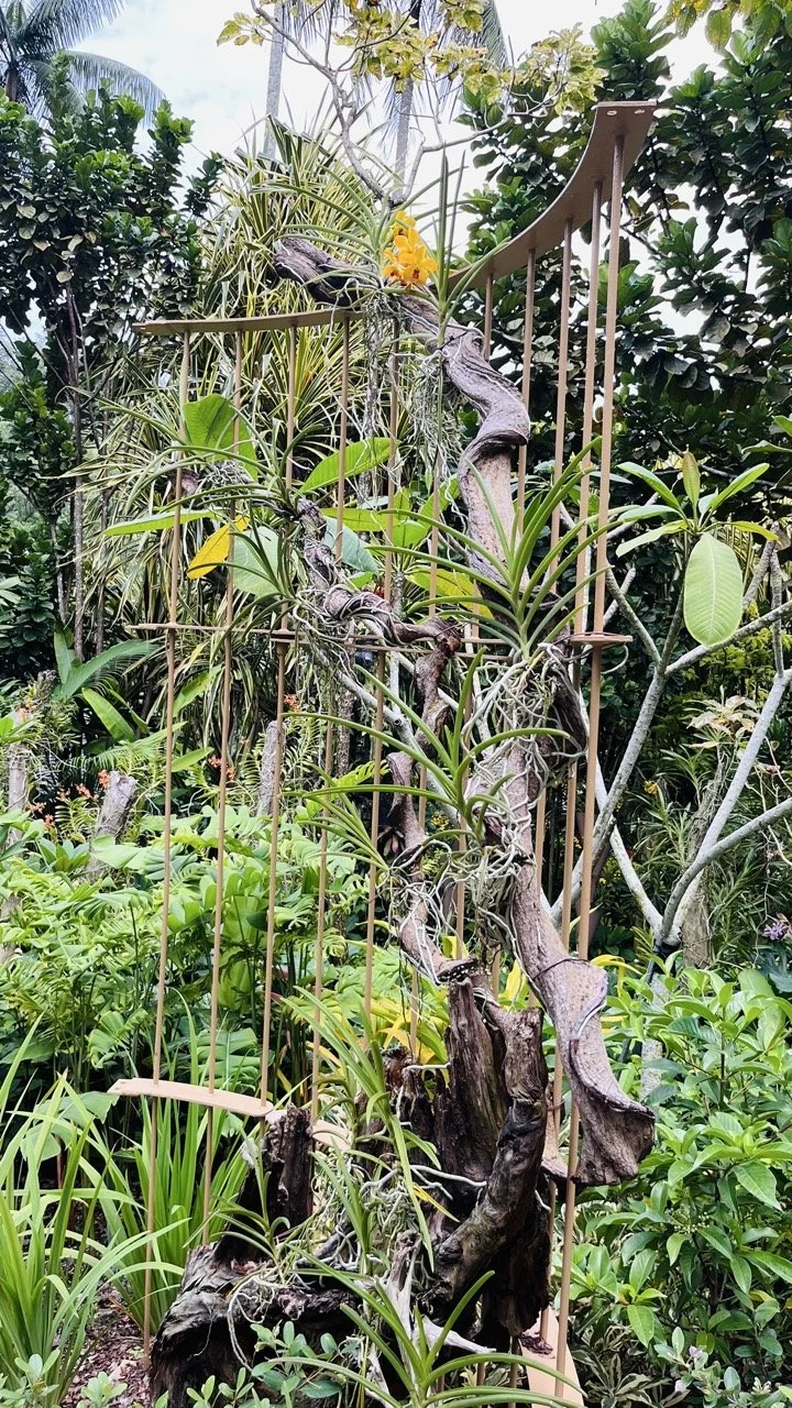 Groß (IMG_1790).jpeg