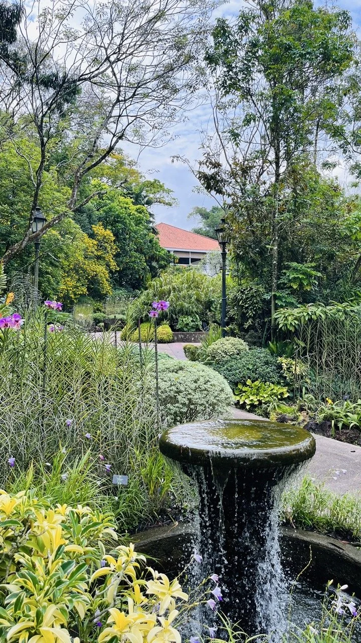 Groß (IMG_1789).jpeg