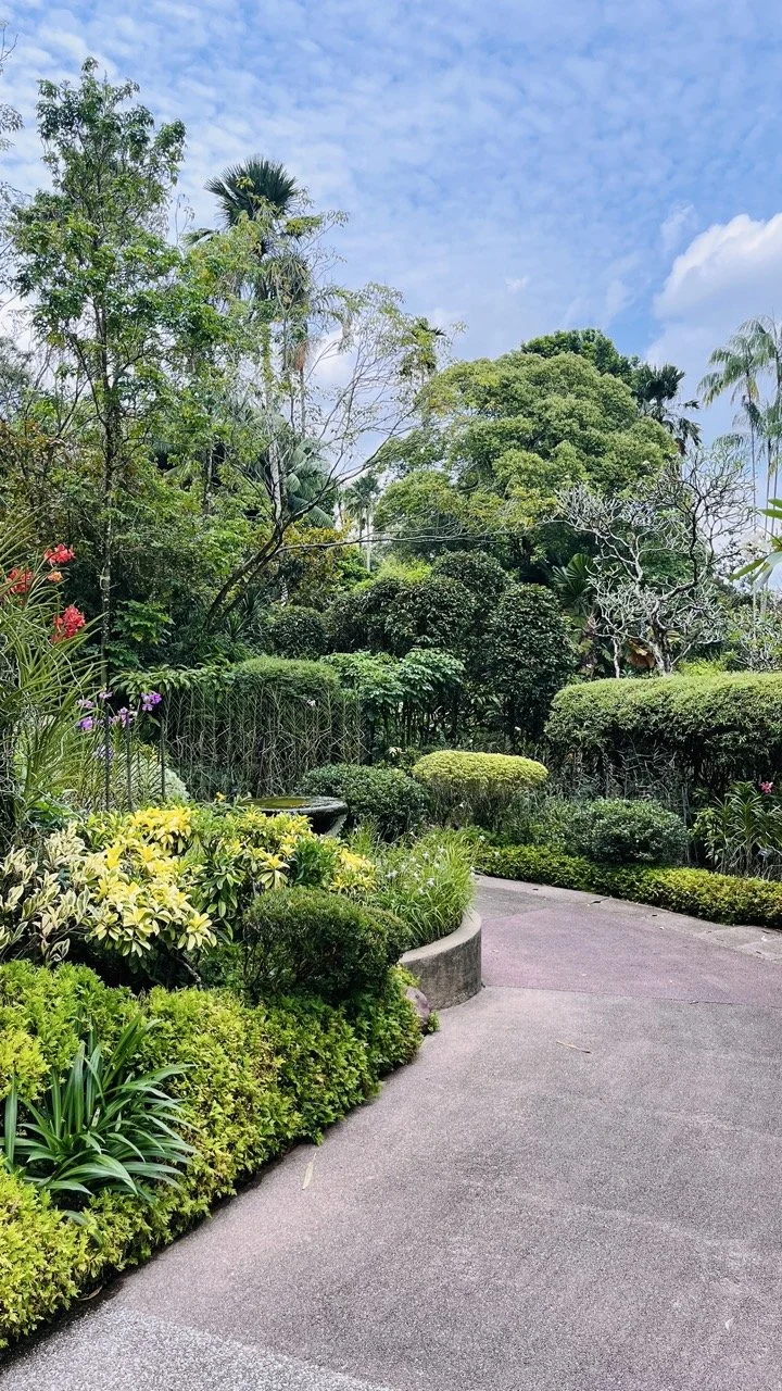 Groß (IMG_1788).jpeg