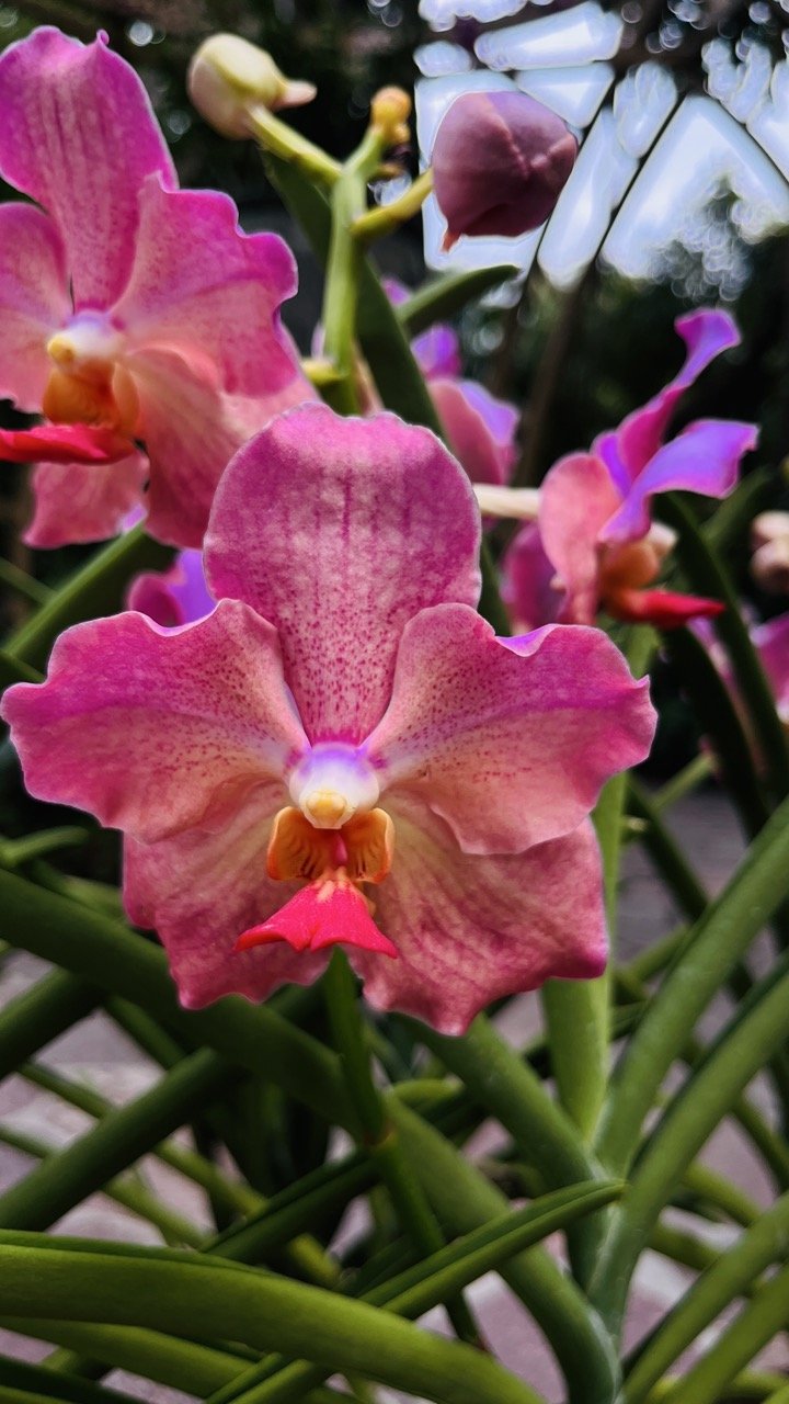 Groß (IMG_1786).jpeg