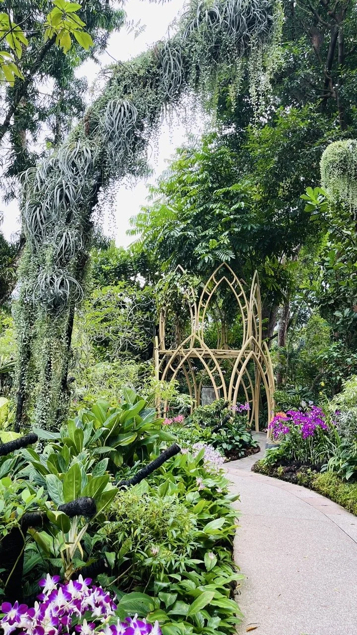 Groß (IMG_1784).jpeg