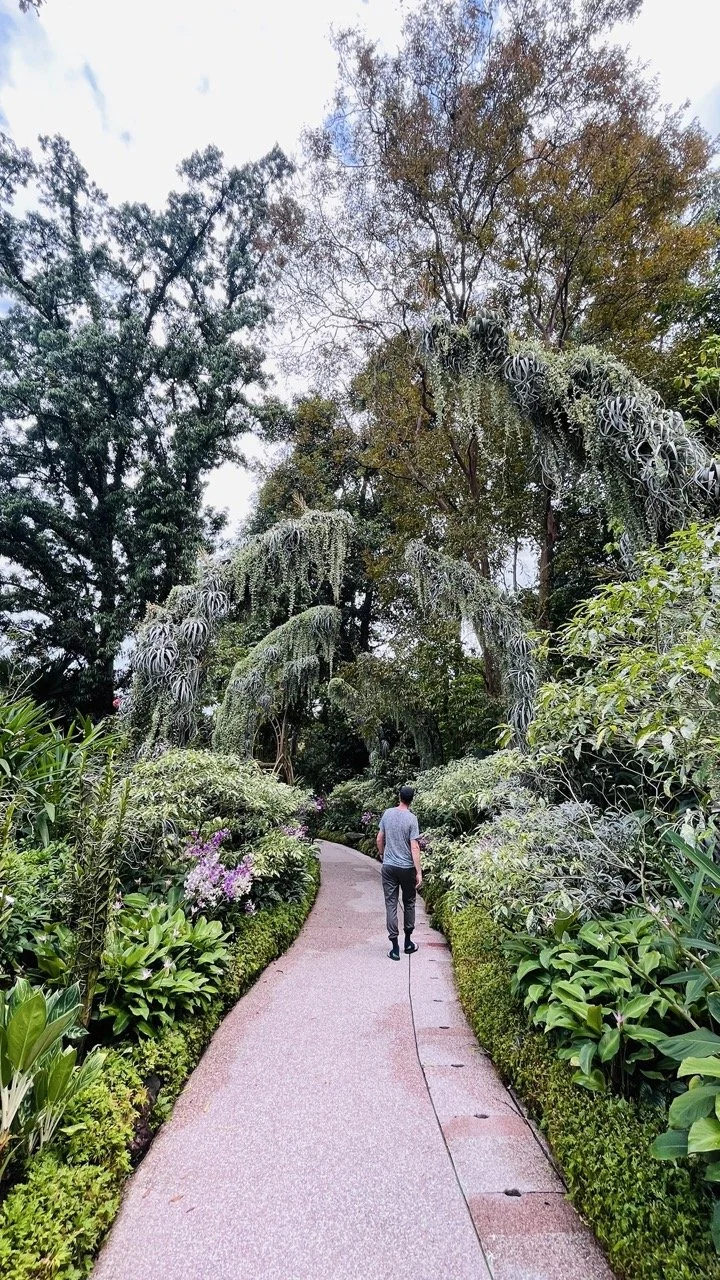 Groß (IMG_1783).jpeg