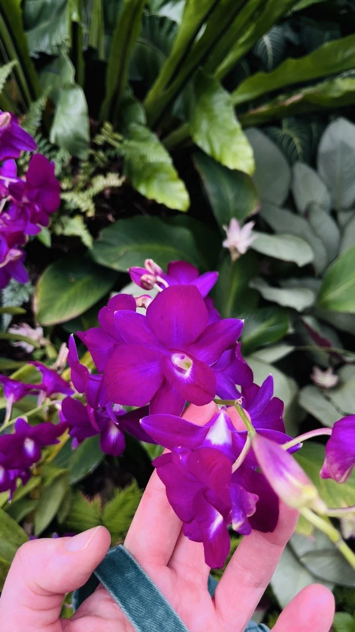 Groß (IMG_1782).jpeg