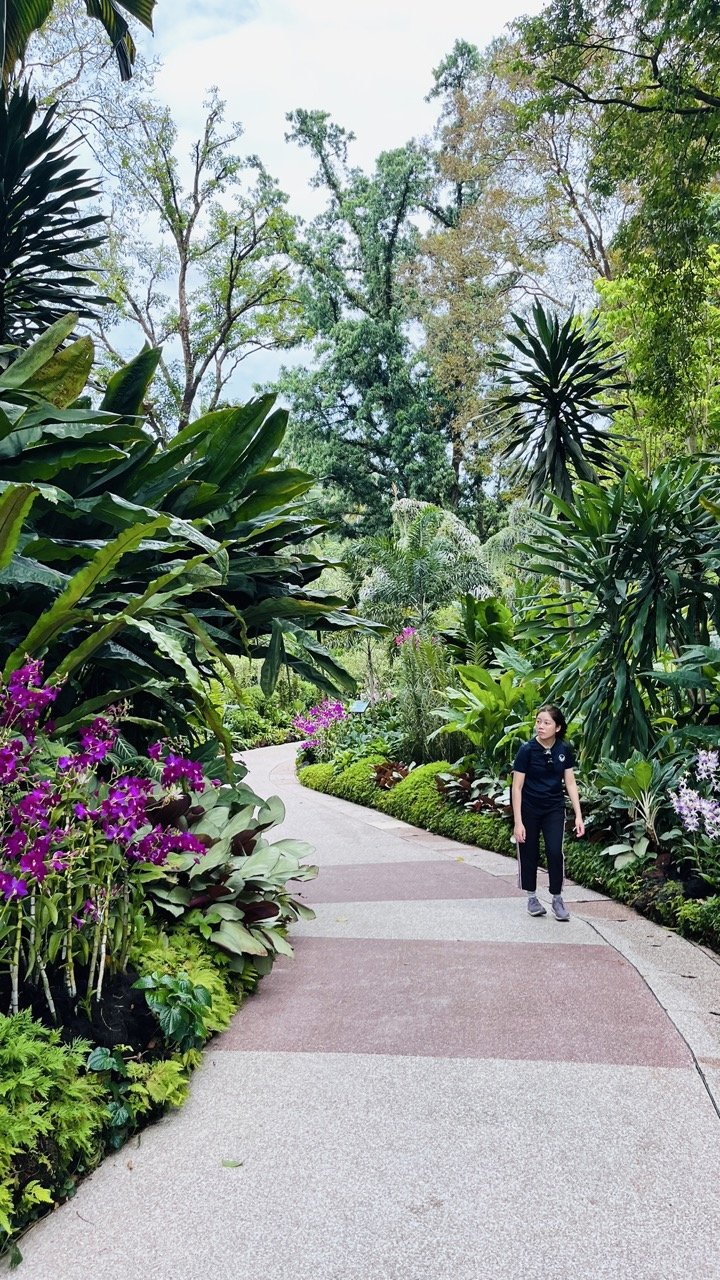 Groß (IMG_1781).jpeg