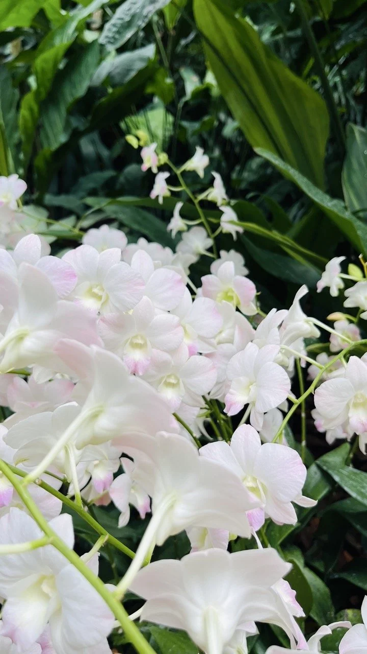 Groß (IMG_1779).jpeg