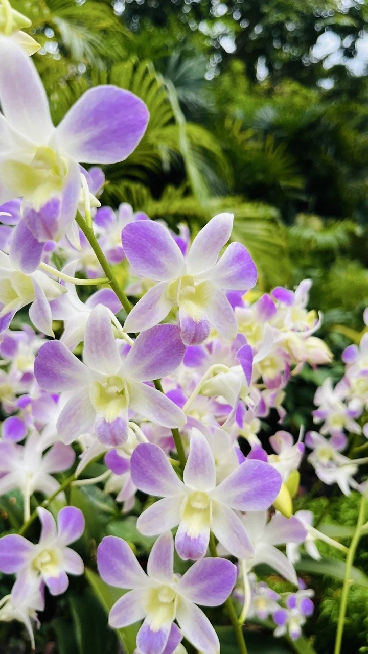 Groß (IMG_1778).jpeg