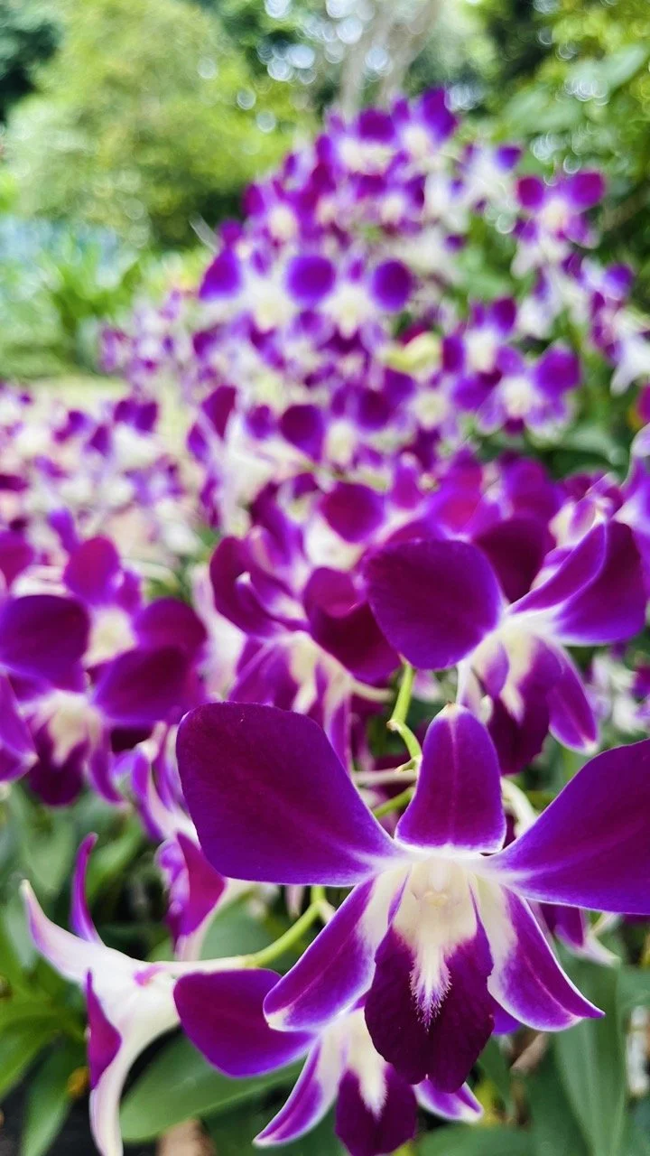 Groß (IMG_1777).jpeg