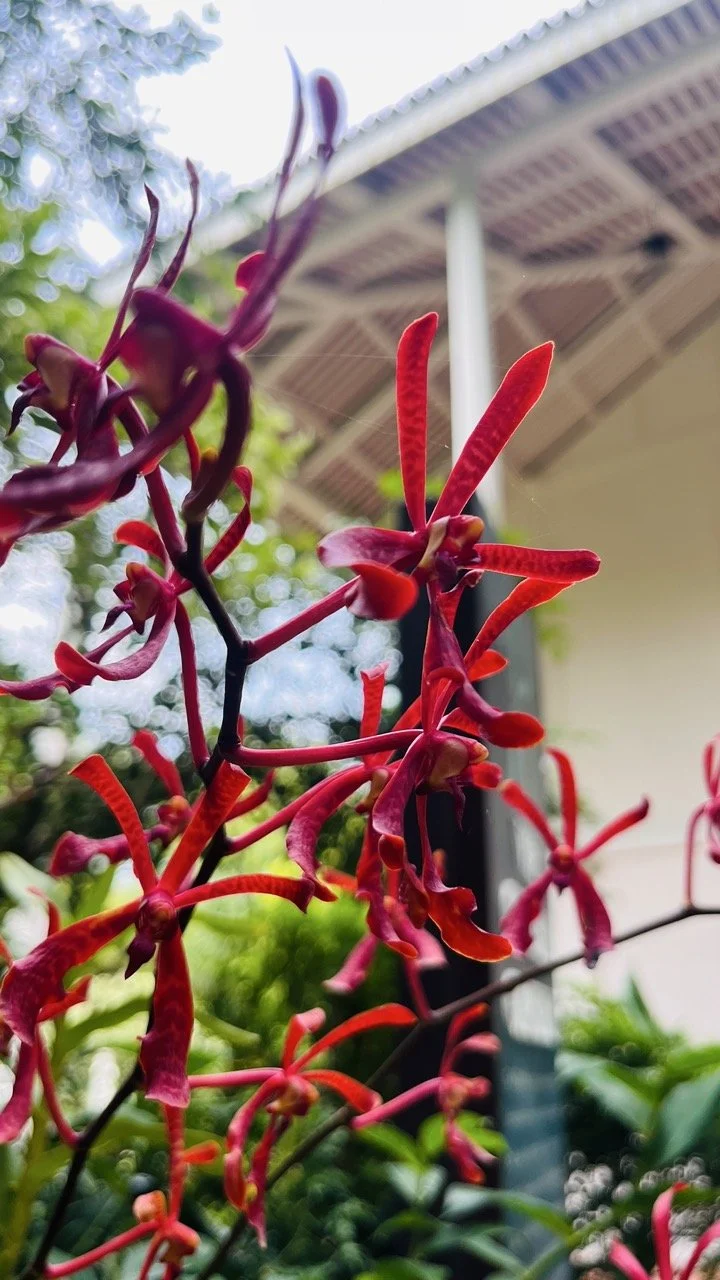 Groß (IMG_1775).jpeg