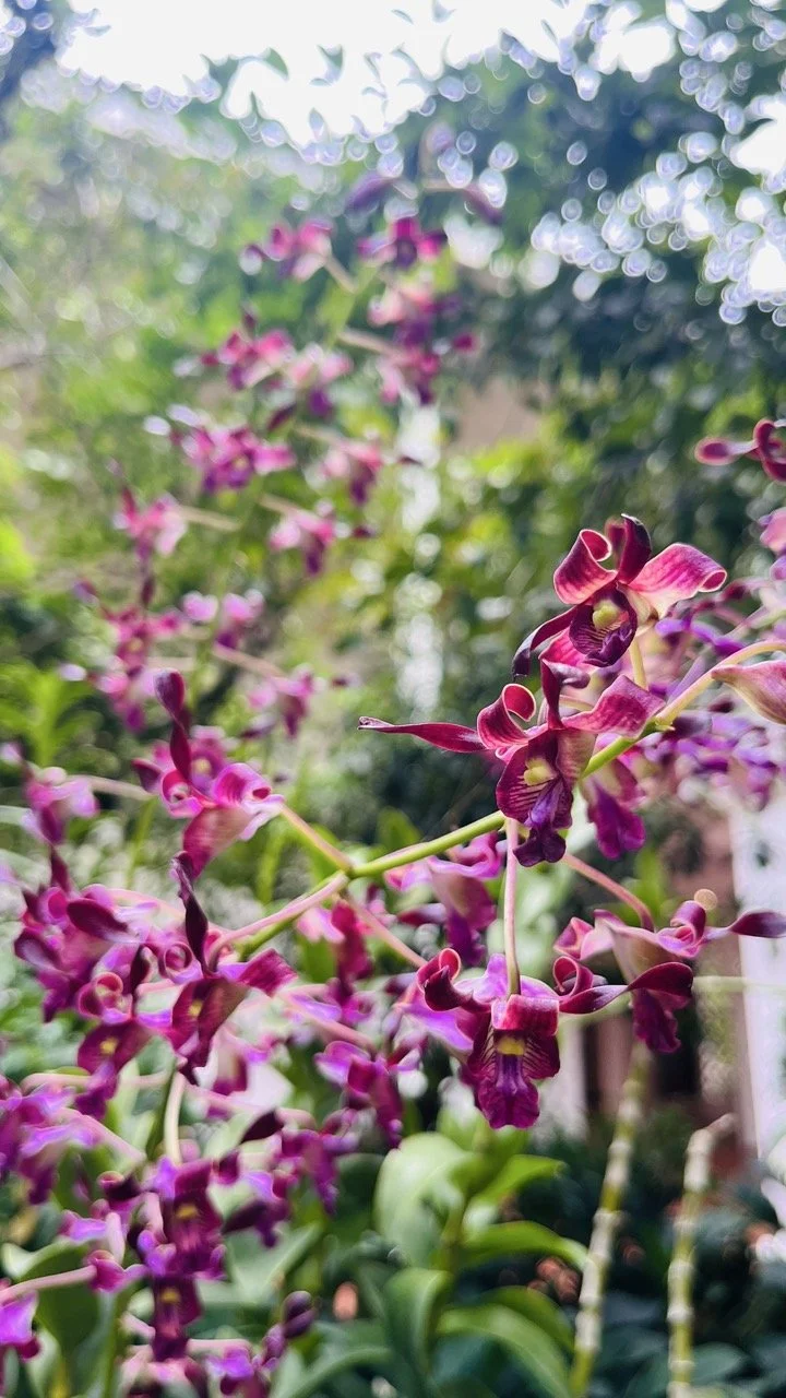 Groß (IMG_1773).jpeg