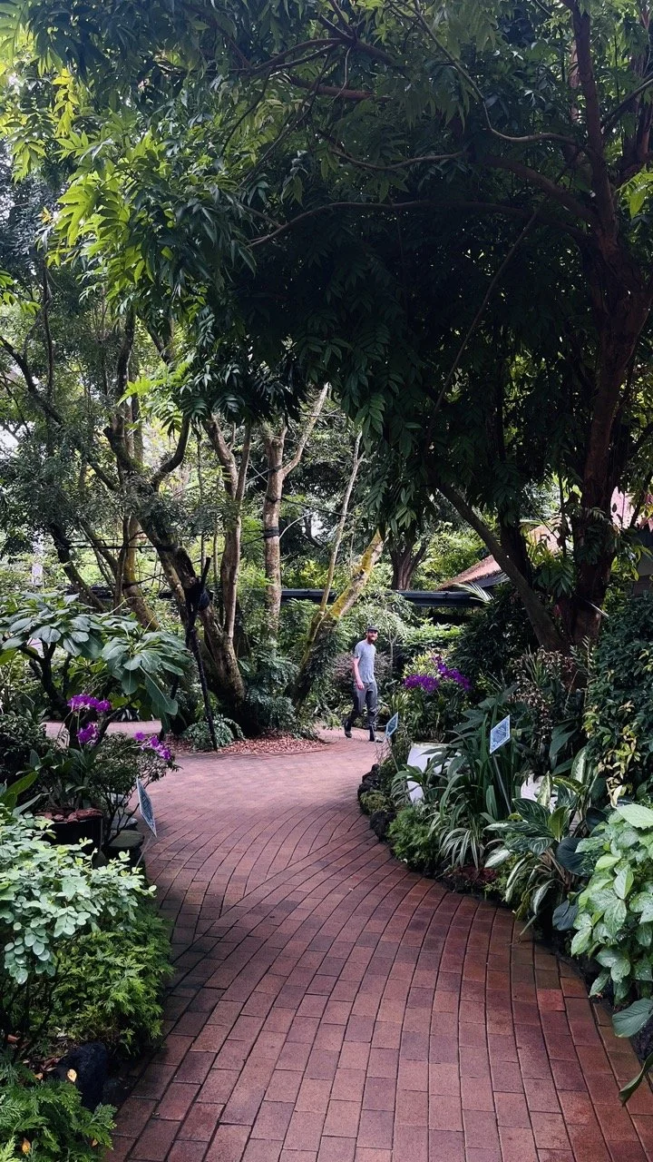 Groß (IMG_1771).jpeg