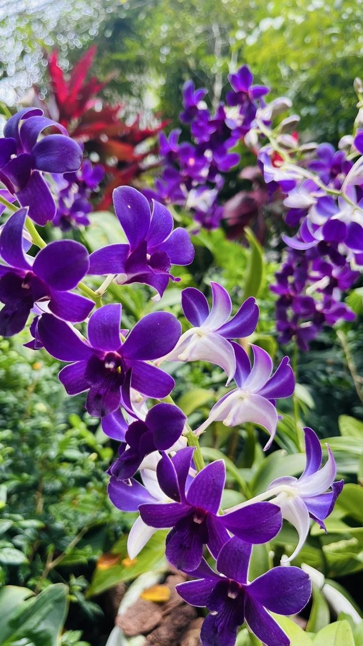 Groß (IMG_1769).jpeg