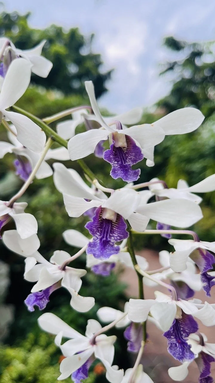 Groß (IMG_1768).jpeg