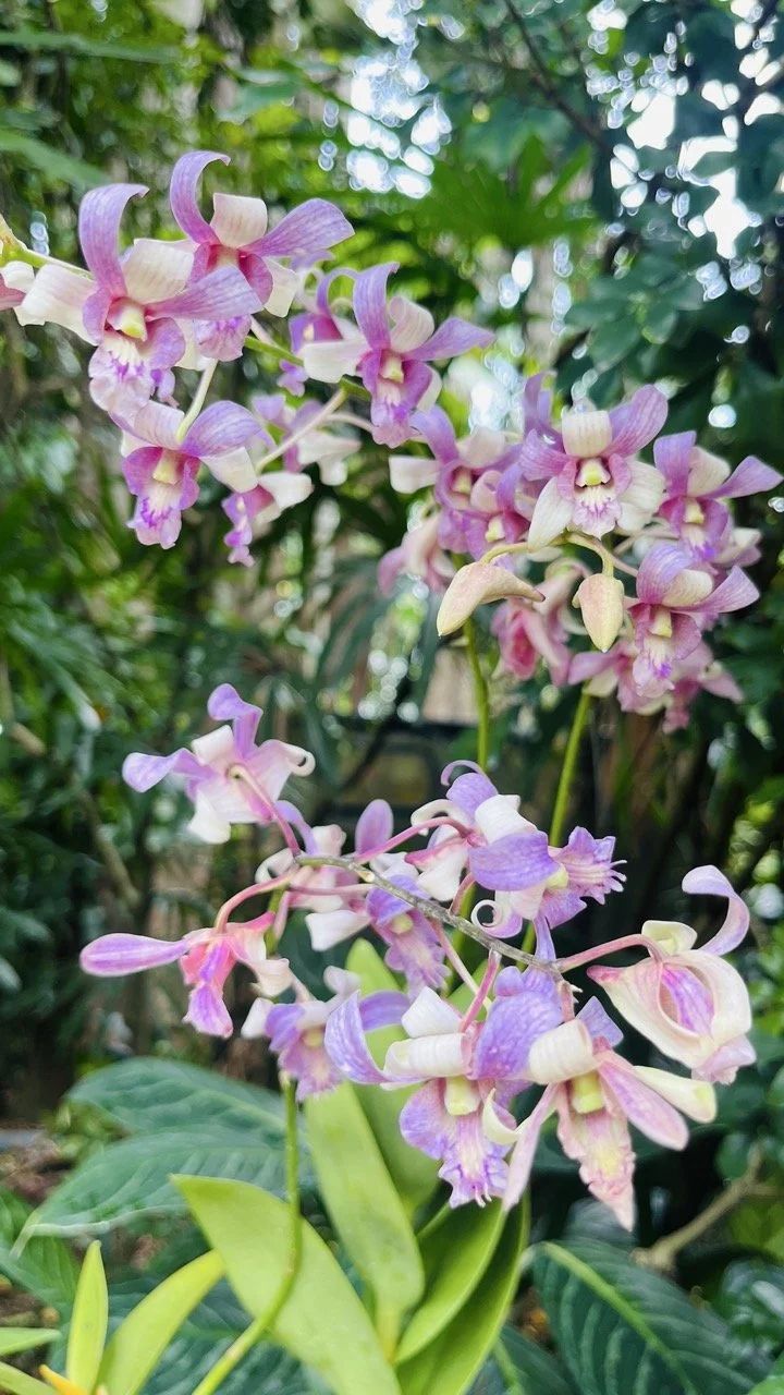 Groß (IMG_1766).jpeg