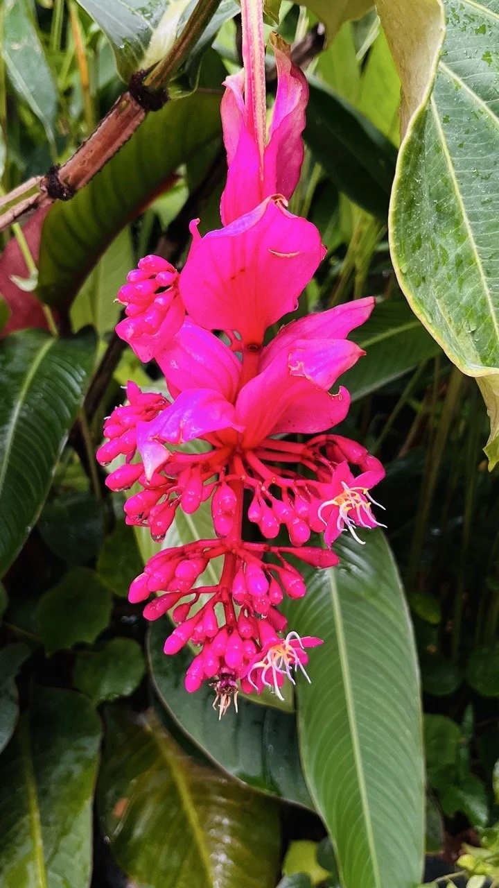 Groß (IMG_1764).jpeg