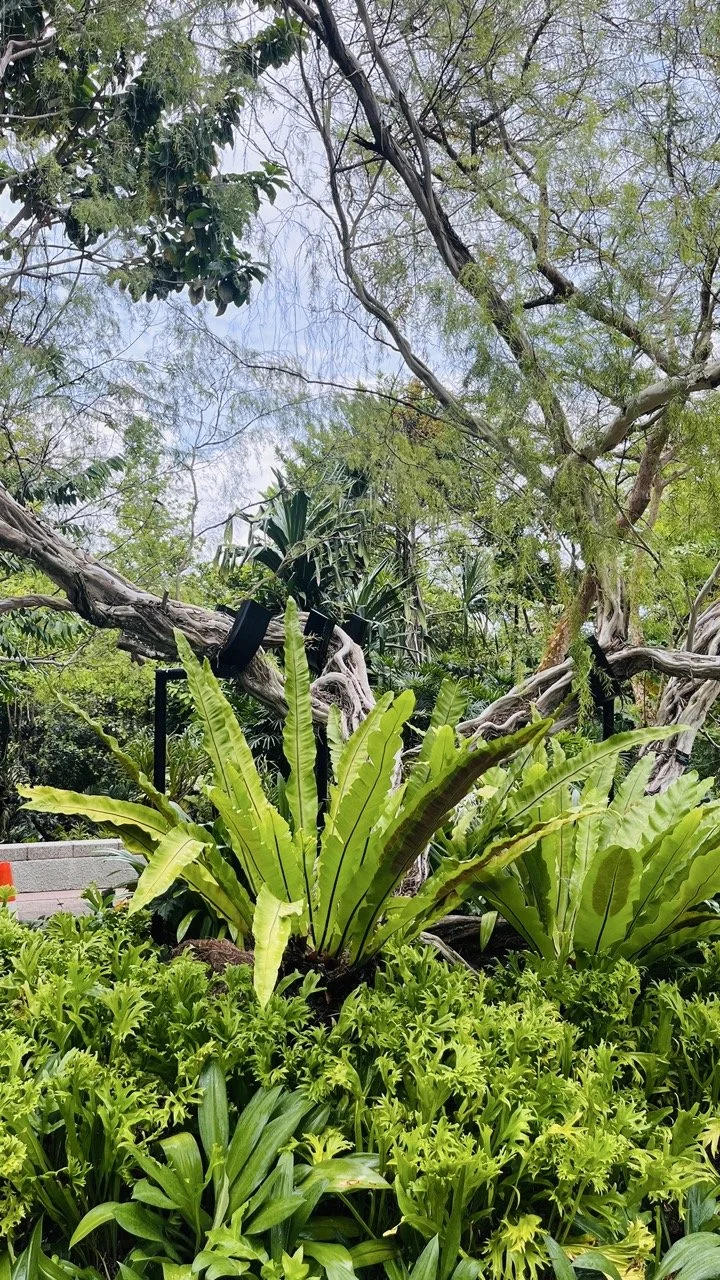 Groß (IMG_1762).jpeg