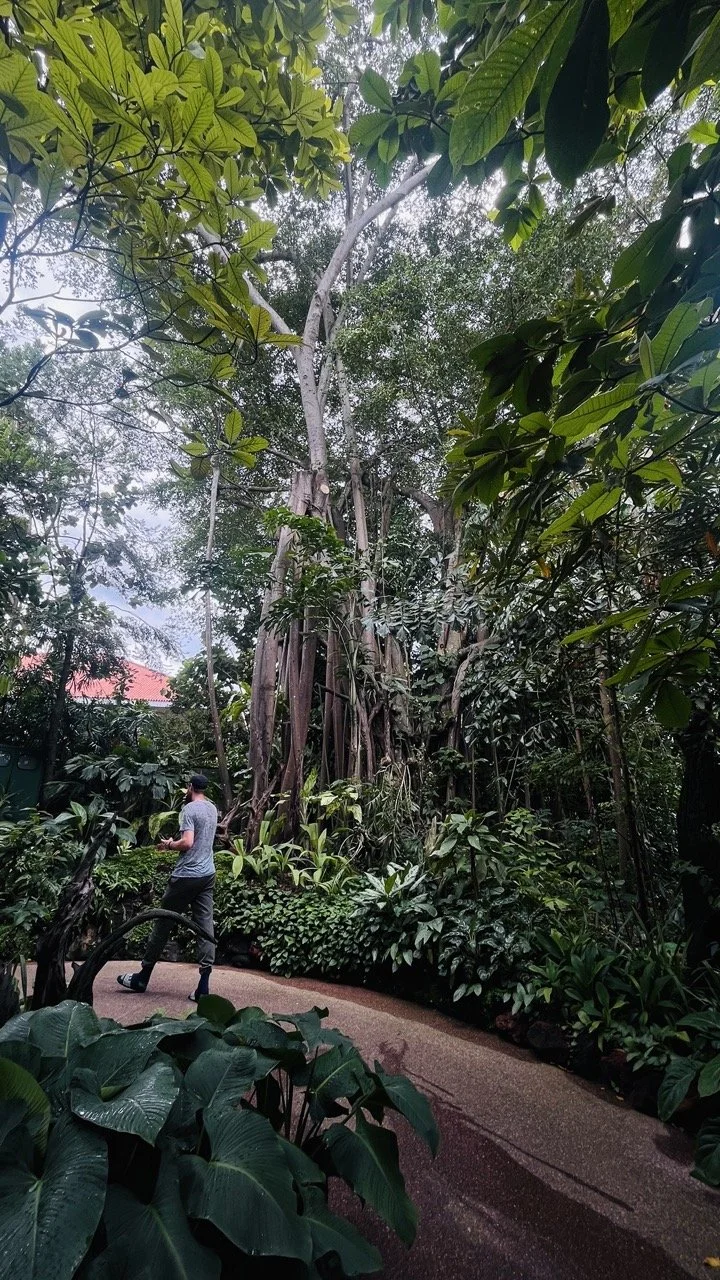 Groß (IMG_1761 2).jpeg