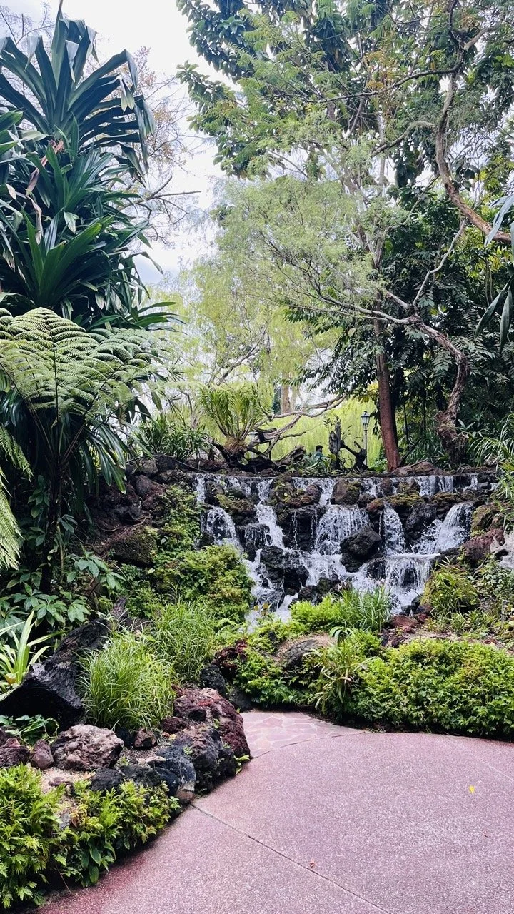 Groß (IMG_1758).jpeg