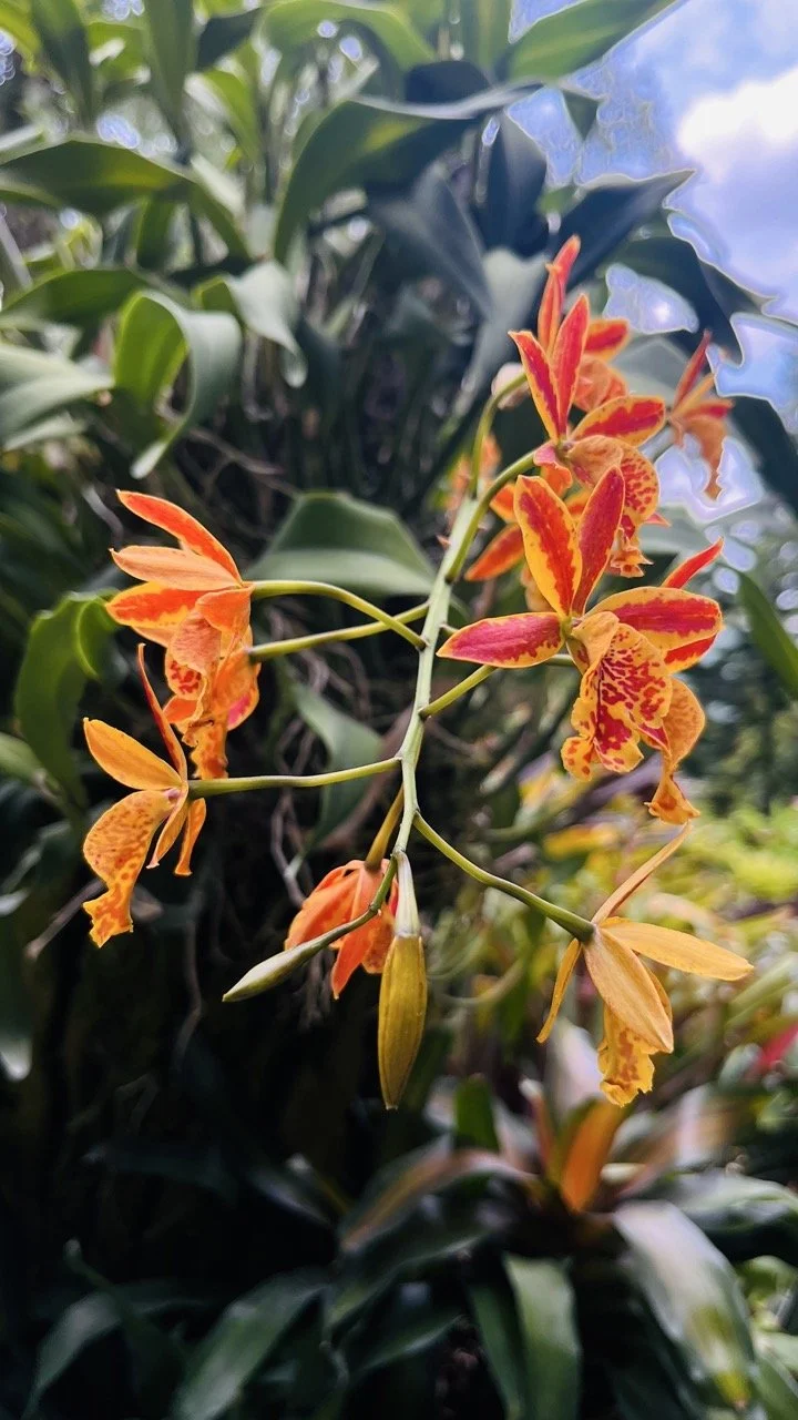 Groß (IMG_1757).jpeg