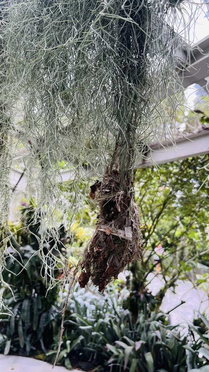 Groß (IMG_1756).jpeg