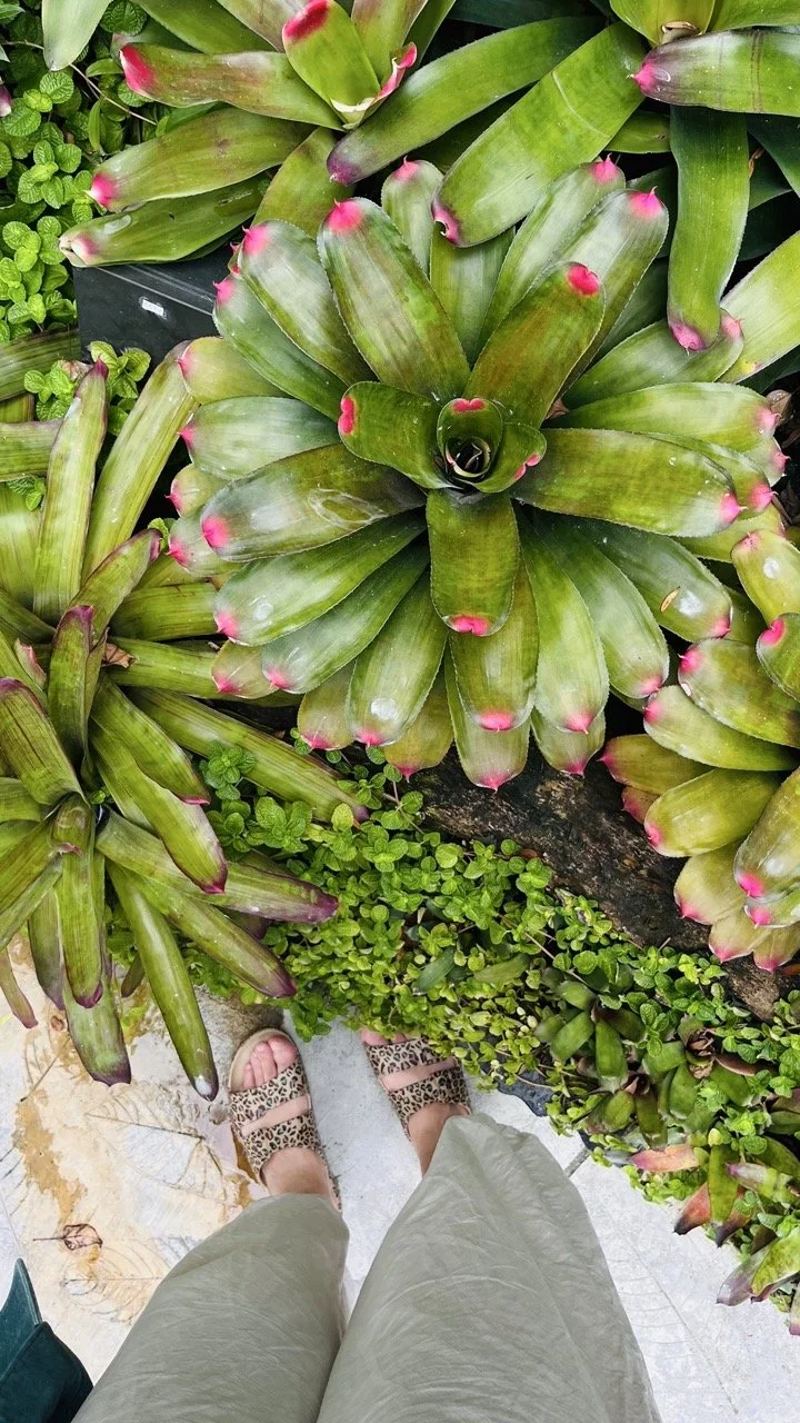 Groß (IMG_1755).jpeg