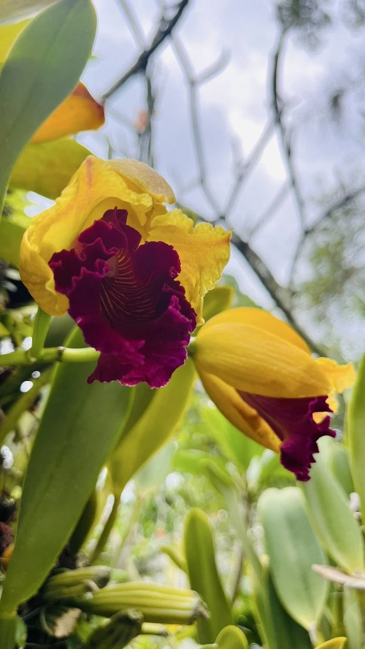 Groß (IMG_1754).jpeg