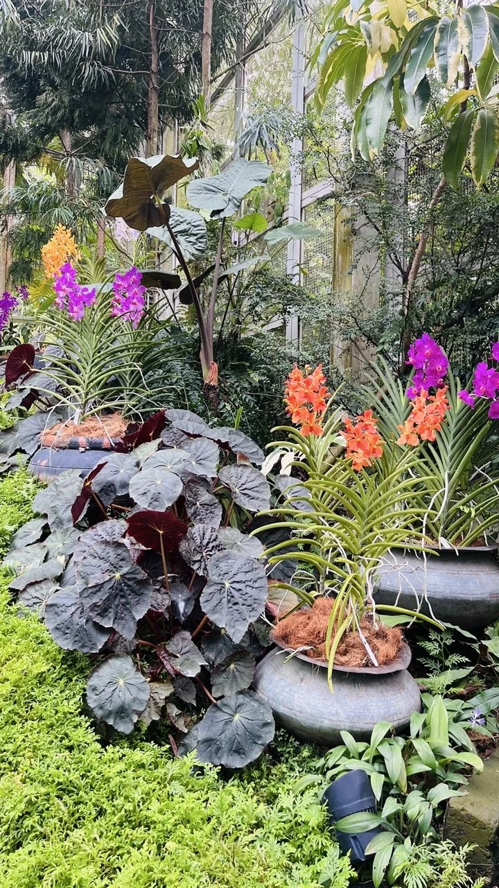 Groß (IMG_1750).jpeg