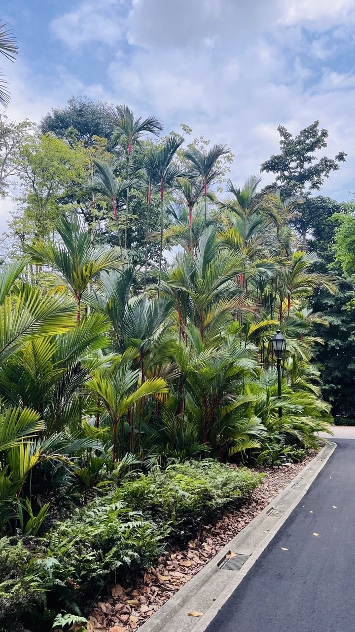 Groß (IMG_1714 2).jpeg