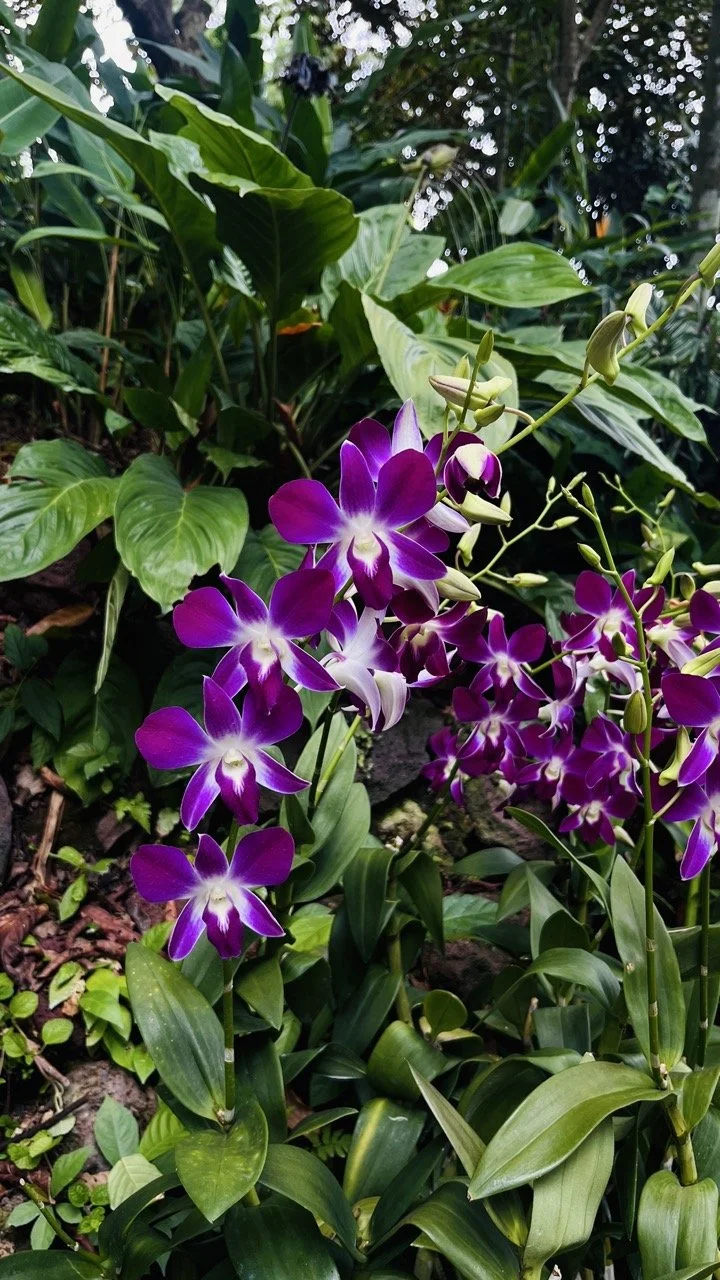 Groß (IMG_1741).jpeg