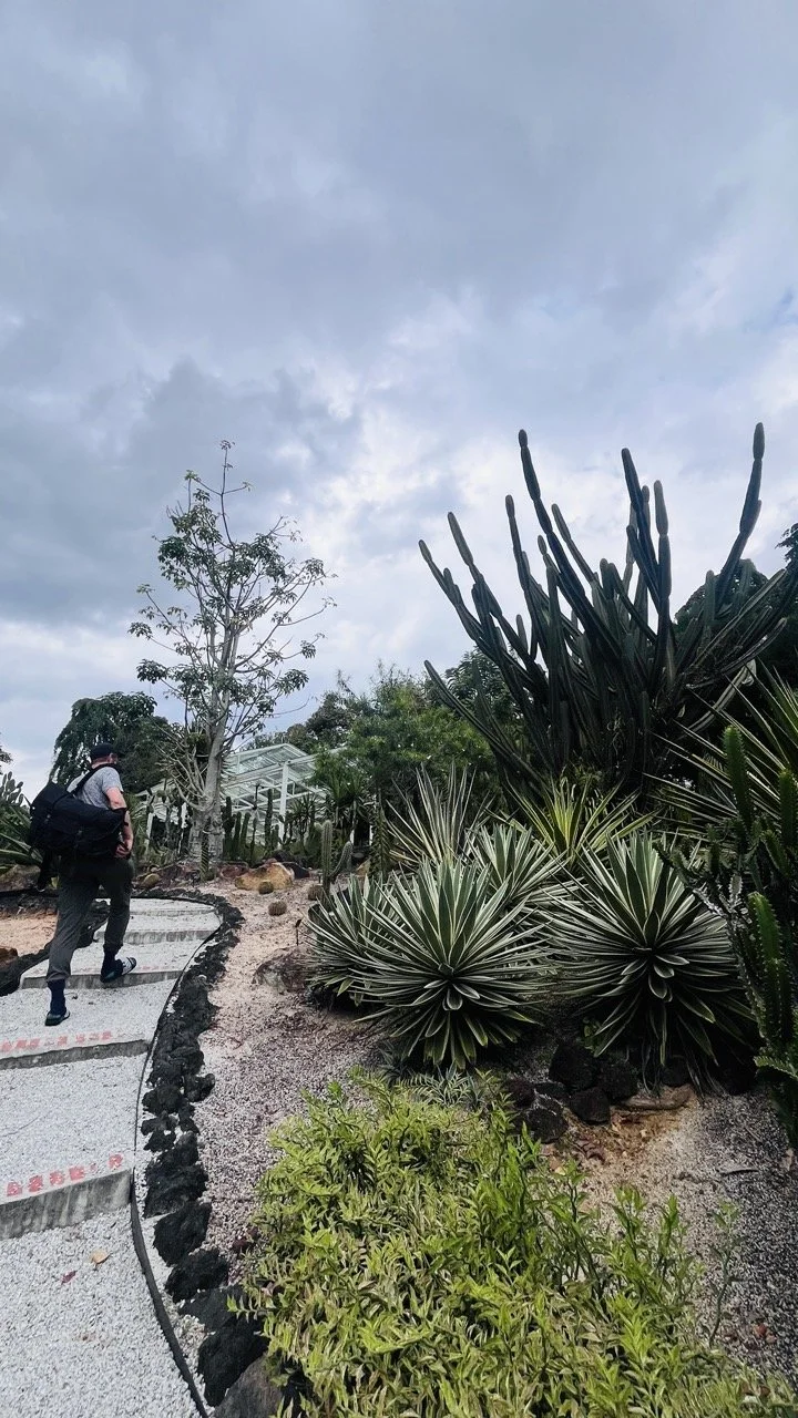 Groß (IMG_1717).jpeg