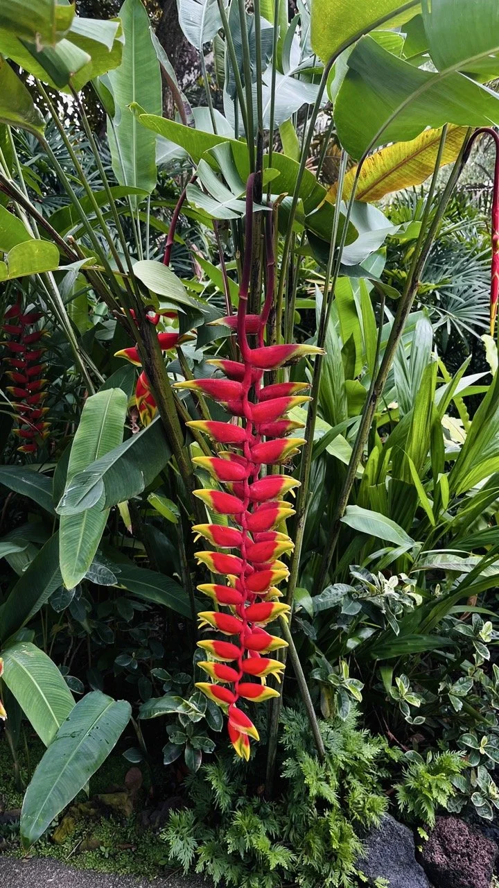 Groß (IMG_1740).jpeg