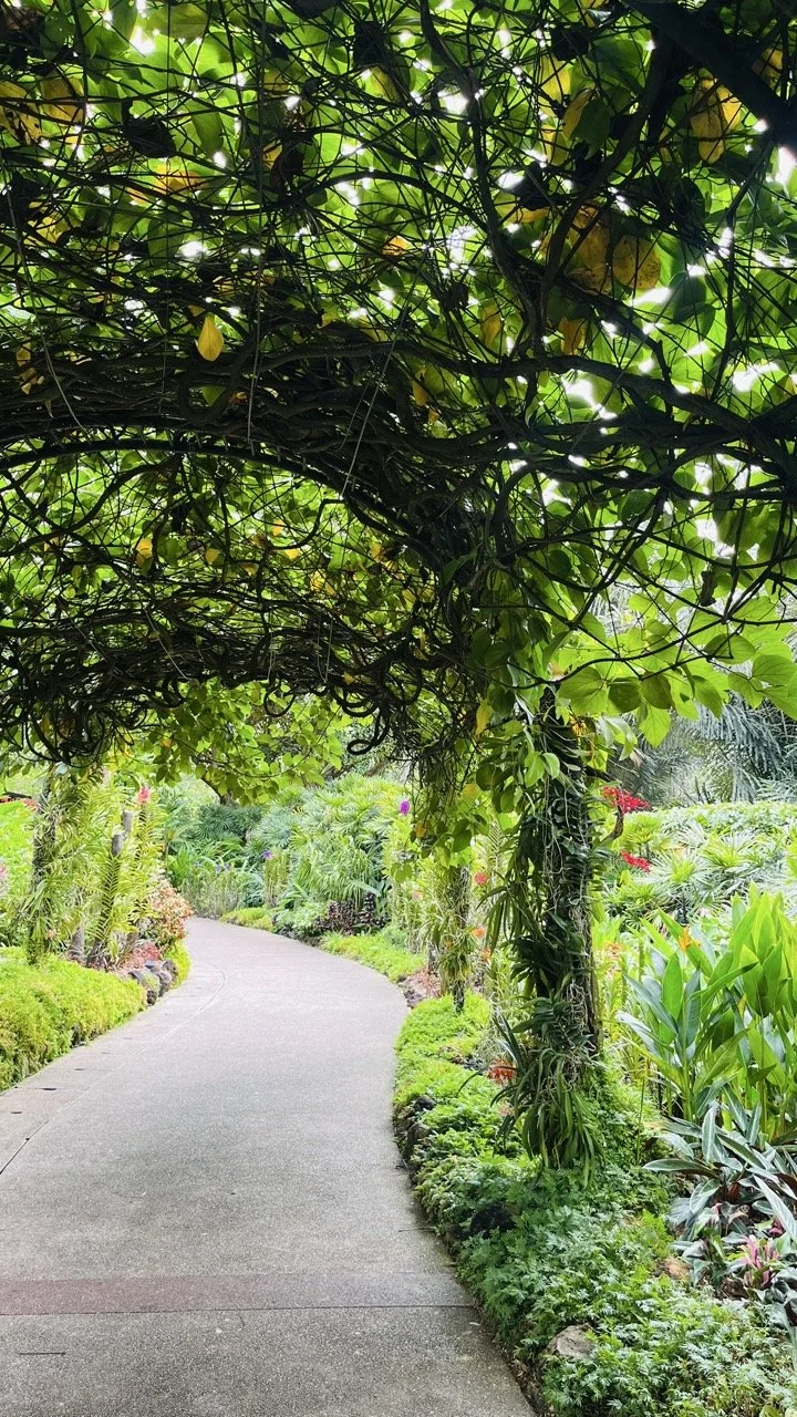 Groß (IMG_1739).jpeg